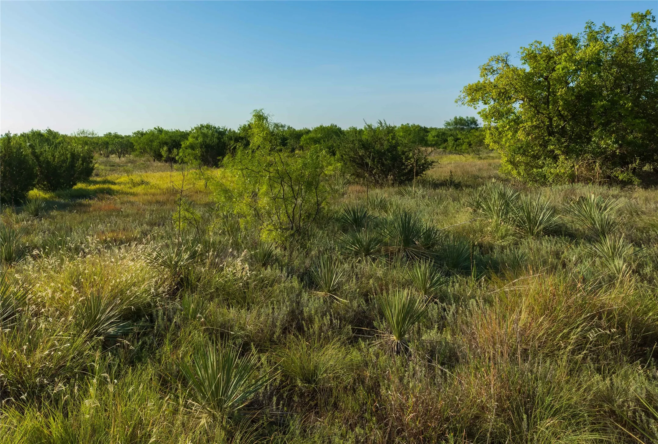 Unimproved Land For Sale in Taylor County , TBD HWY 83 CR 250 HWY 83, Ovalo, Texas 79541, 0, 0, Garage spaces, 0 Sqft, built in 0, mls#21356611, Real Estate Agent in Ovalo, Homes For Sale in Taylor county, Homes For Sale in Ovalo, Realtor in Ovalo Texas, Real Estate Brokerage Independent Realty Texas, Luminita Cordes Realtor