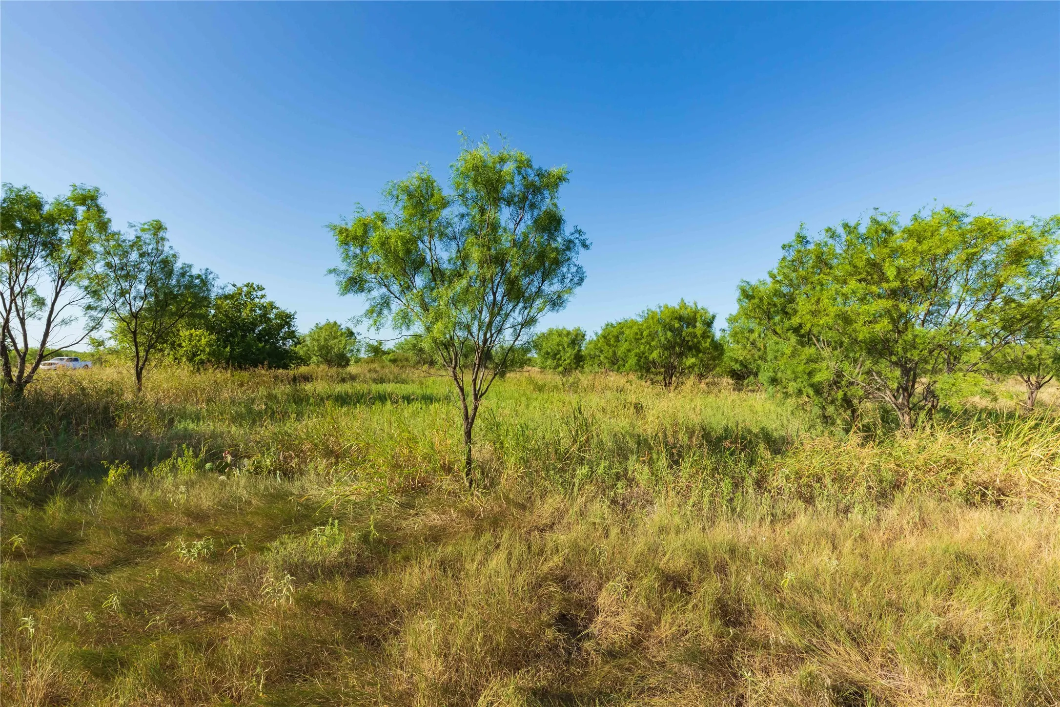 Unimproved Land For Sale in Taylor County , TBD HWY 83 CR 250 HWY 83, Ovalo, Texas 79541, 0, 0, Garage spaces, 0 Sqft, built in 0, mls#21356611, Real Estate Agent in Ovalo, Homes For Sale in Taylor county, Homes For Sale in Ovalo, Realtor in Ovalo Texas, Real Estate Brokerage Independent Realty Texas, Luminita Cordes Realtor