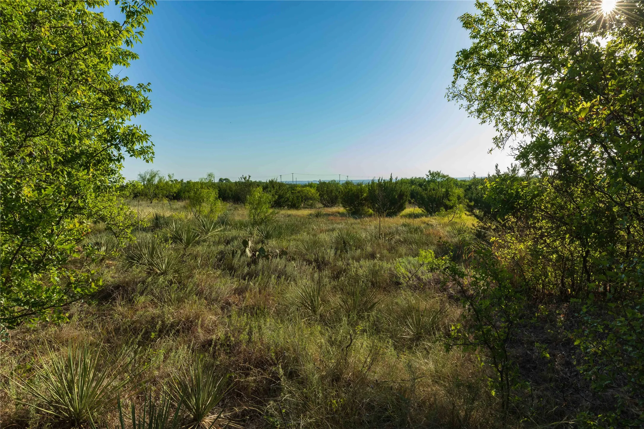 Unimproved Land For Sale in Taylor County , TBD HWY 83 CR 250 HWY 83, Ovalo, Texas 79541, 0, 0, Garage spaces, 0 Sqft, built in 0, mls#21356611, Real Estate Agent in Ovalo, Homes For Sale in Taylor county, Homes For Sale in Ovalo, Realtor in Ovalo Texas, Real Estate Brokerage Independent Realty Texas, Luminita Cordes Realtor