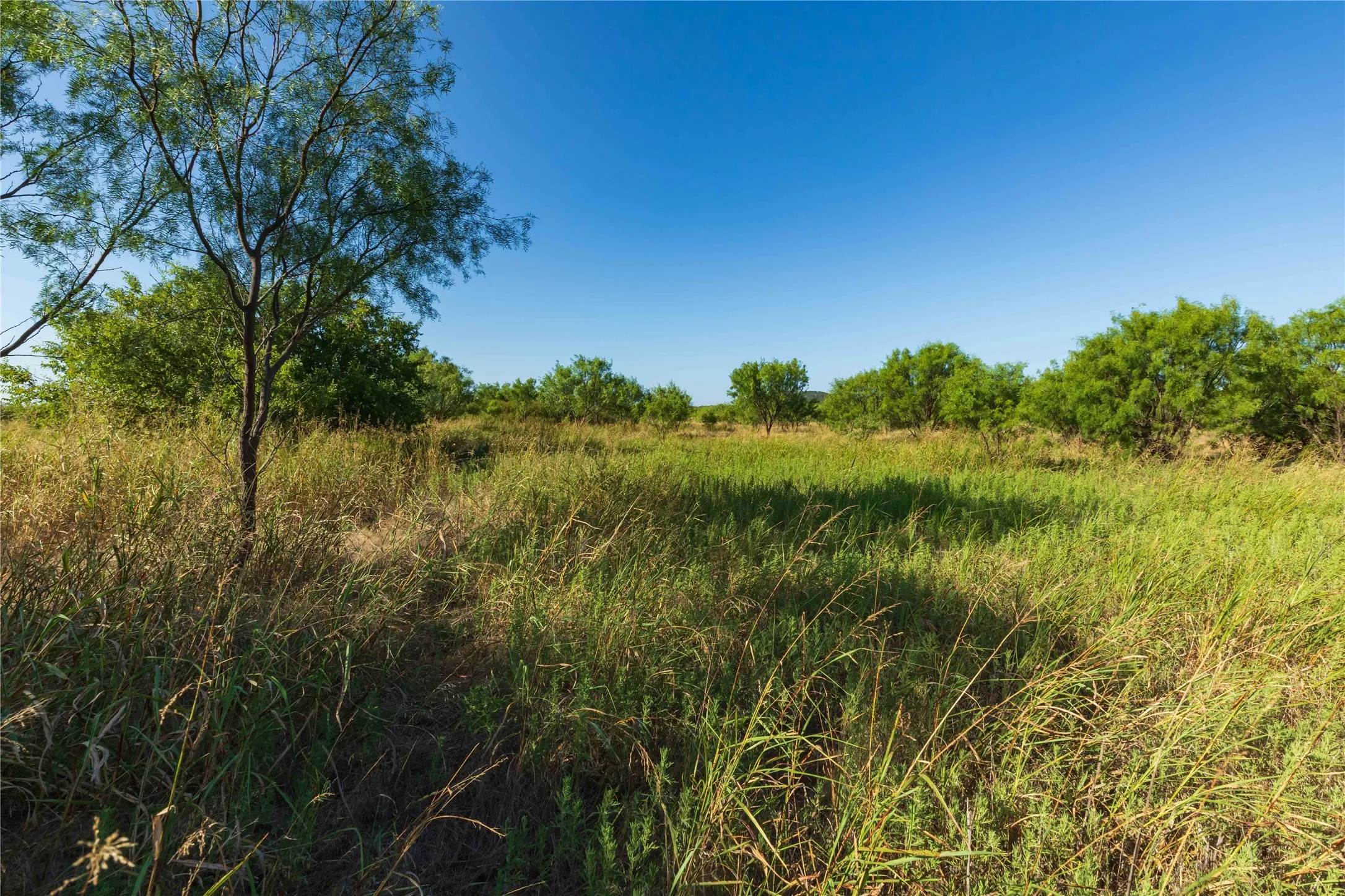 Unimproved Land For Sale in Taylor County , TBD HWY 83 CR 250 HWY 83, Ovalo, Texas 79541, 0, 0, Garage spaces, 0 Sqft, built in 0, mls#21356611, Real Estate Agent in Ovalo, Homes For Sale in Taylor county, Homes For Sale in Ovalo, Realtor in Ovalo Texas, Real Estate Brokerage Independent Realty Texas, Luminita Cordes Realtor