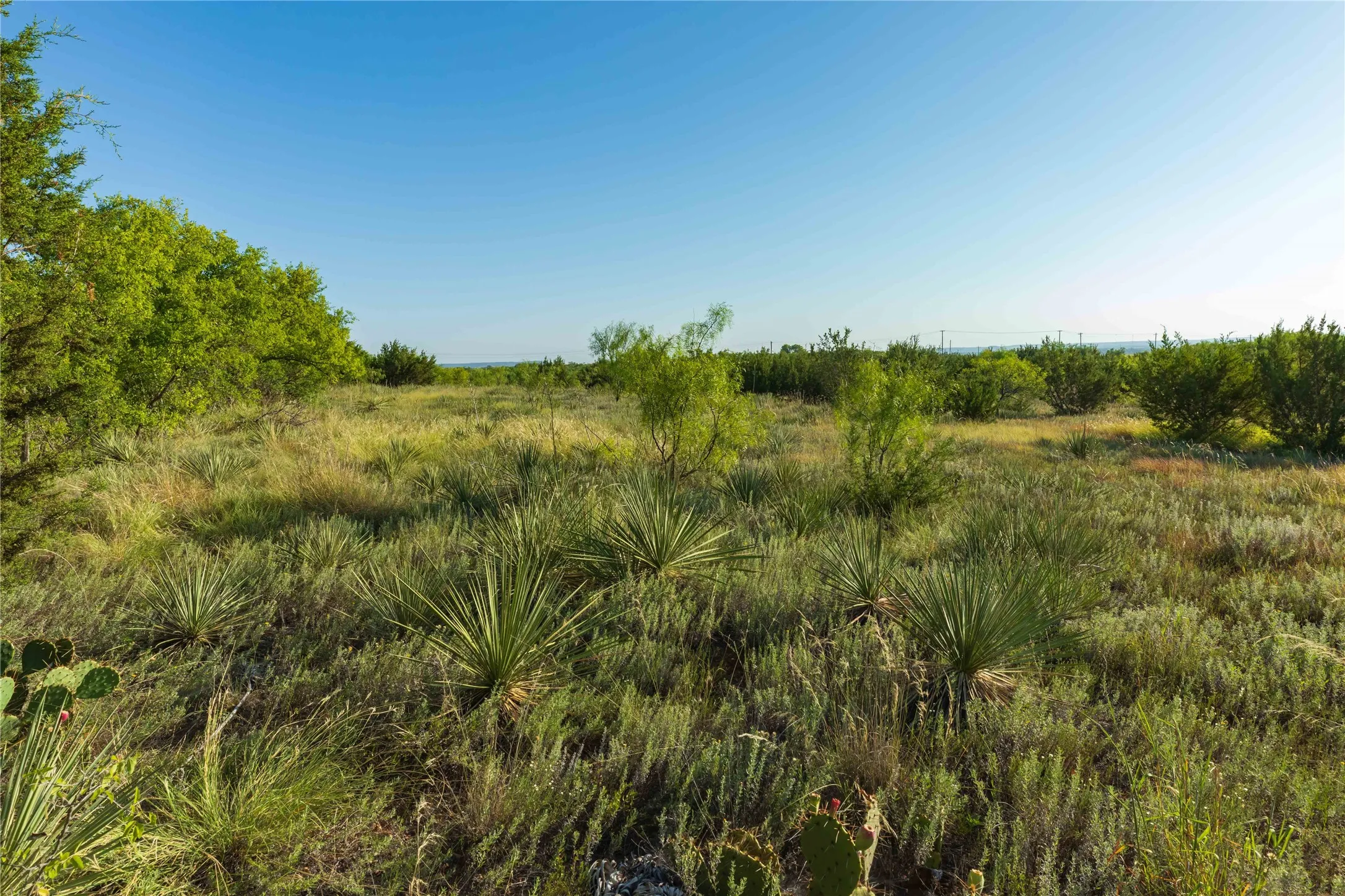 Unimproved Land For Sale in Taylor County , TBD HWY 83 CR 250 HWY 83, Ovalo, Texas 79541, 0, 0, Garage spaces, 0 Sqft, built in 0, mls#21356611, Real Estate Agent in Ovalo, Homes For Sale in Taylor county, Homes For Sale in Ovalo, Realtor in Ovalo Texas, Real Estate Brokerage Independent Realty Texas, Luminita Cordes Realtor
