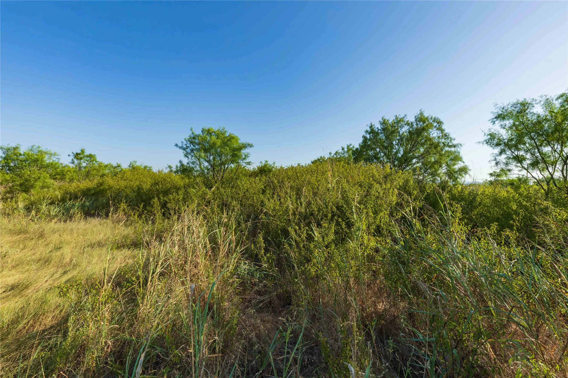 Unimproved Land For Sale in Taylor County , TBD HWY 83 CR 250 HWY 83, Ovalo, Texas 79541, 0, 0, Garage spaces, 0 Sqft, built in 0, mls#21356611, Real Estate Agent in Ovalo, Homes For Sale in Taylor county, Homes For Sale in Ovalo, Realtor in Ovalo Texas, Real Estate Brokerage Independent Realty Texas, Luminita Cordes Realtor