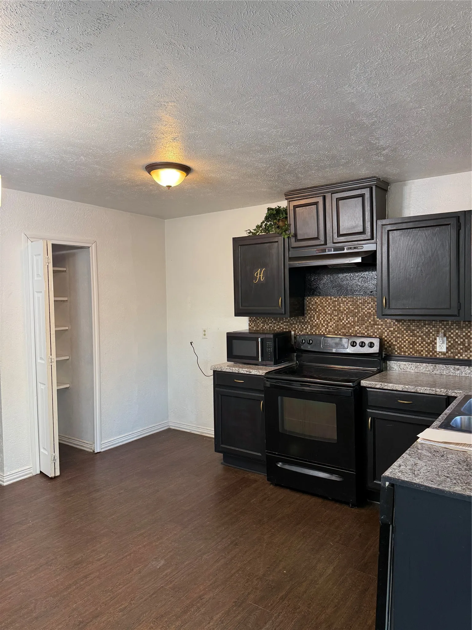 Kitchen featuring wood-finish flooring, dark cabinetry, mosaic tile backsplash, and built-in pantry shelving