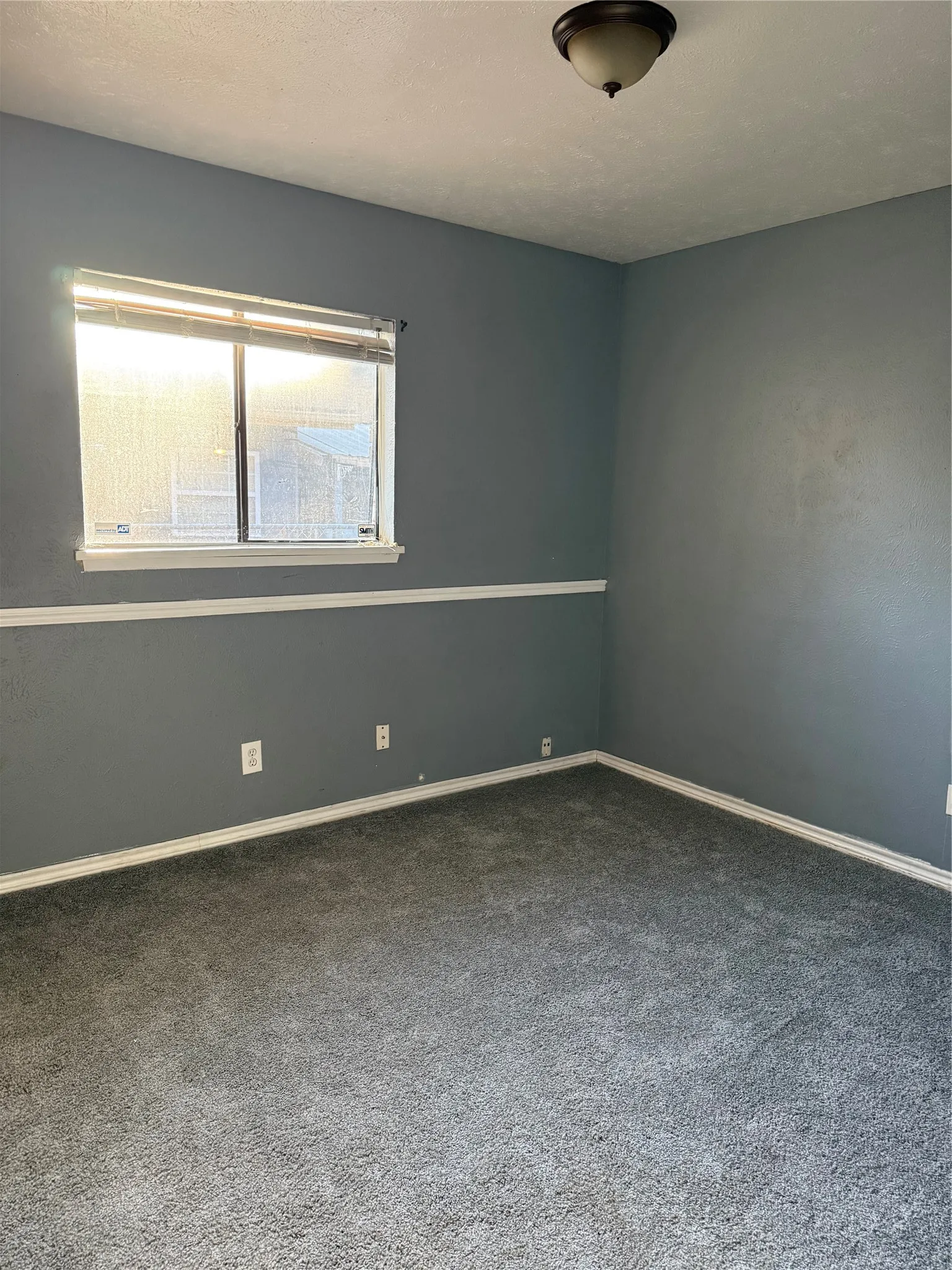 Gray wall-to-wall carpeting with contrasting baseboards