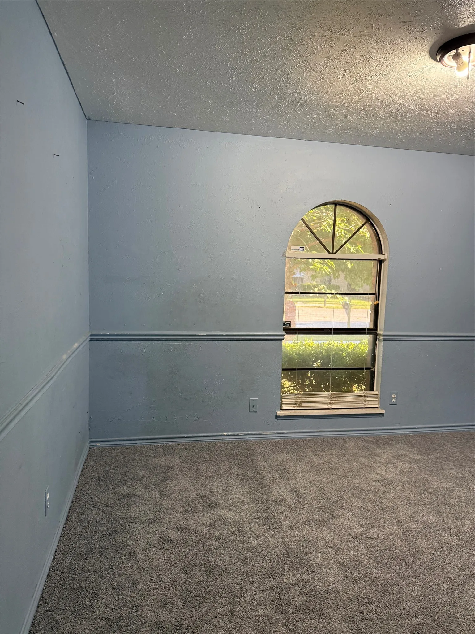 Arched window with grilles, textured walls, wall molding, and gray carpet flooring