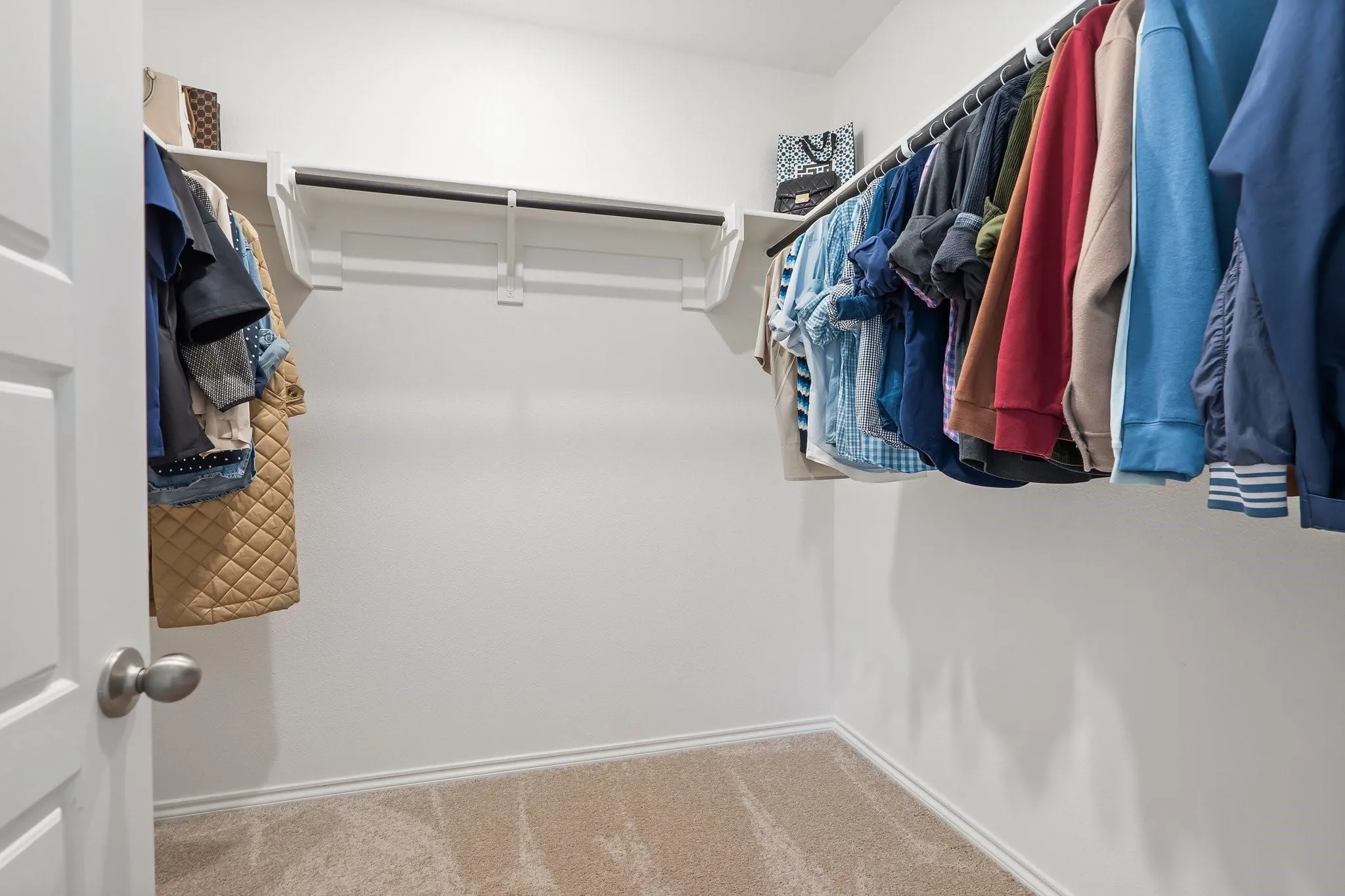 Walk in closet featuring carpet
