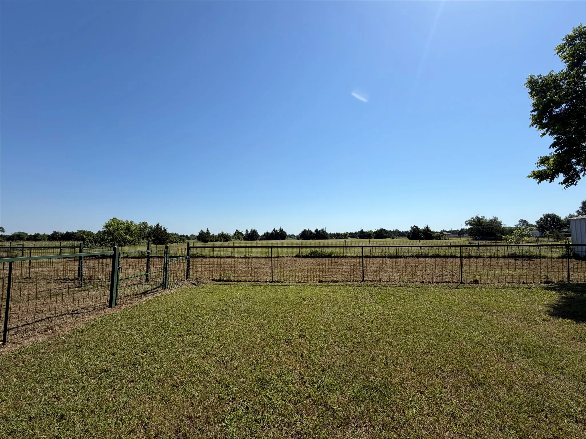 Expansive fenced yard with a gate, featuring a grass lawn and a metal storage shed
