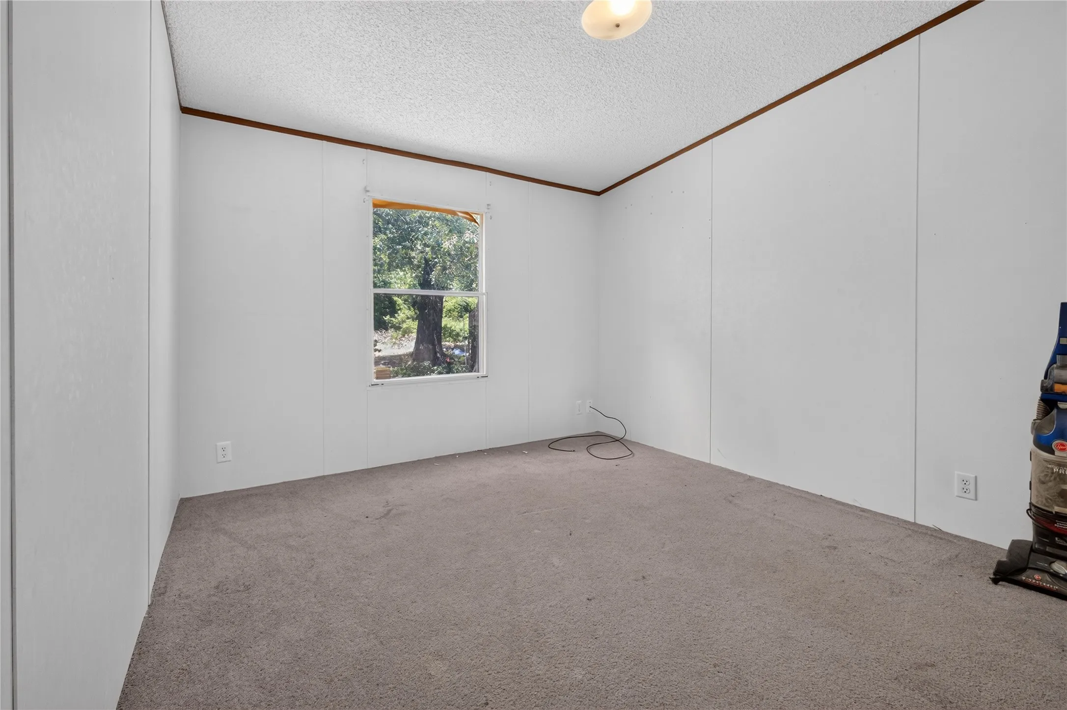 Spacious bedroom with neutral carpeting, large window with natural light, and clean white wall finishes