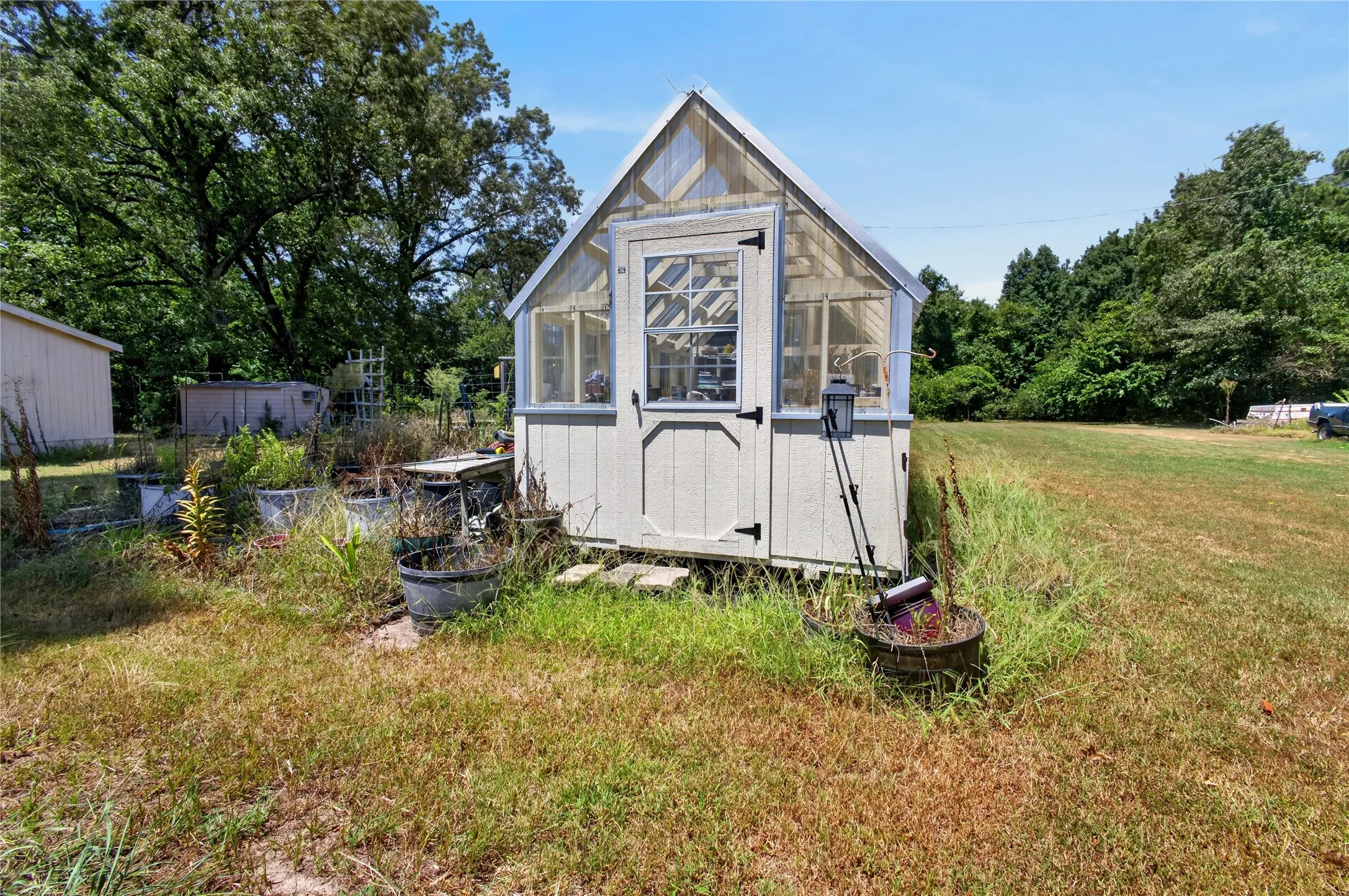 Greenhouse structure with a pitched translucent roof and clear paneling