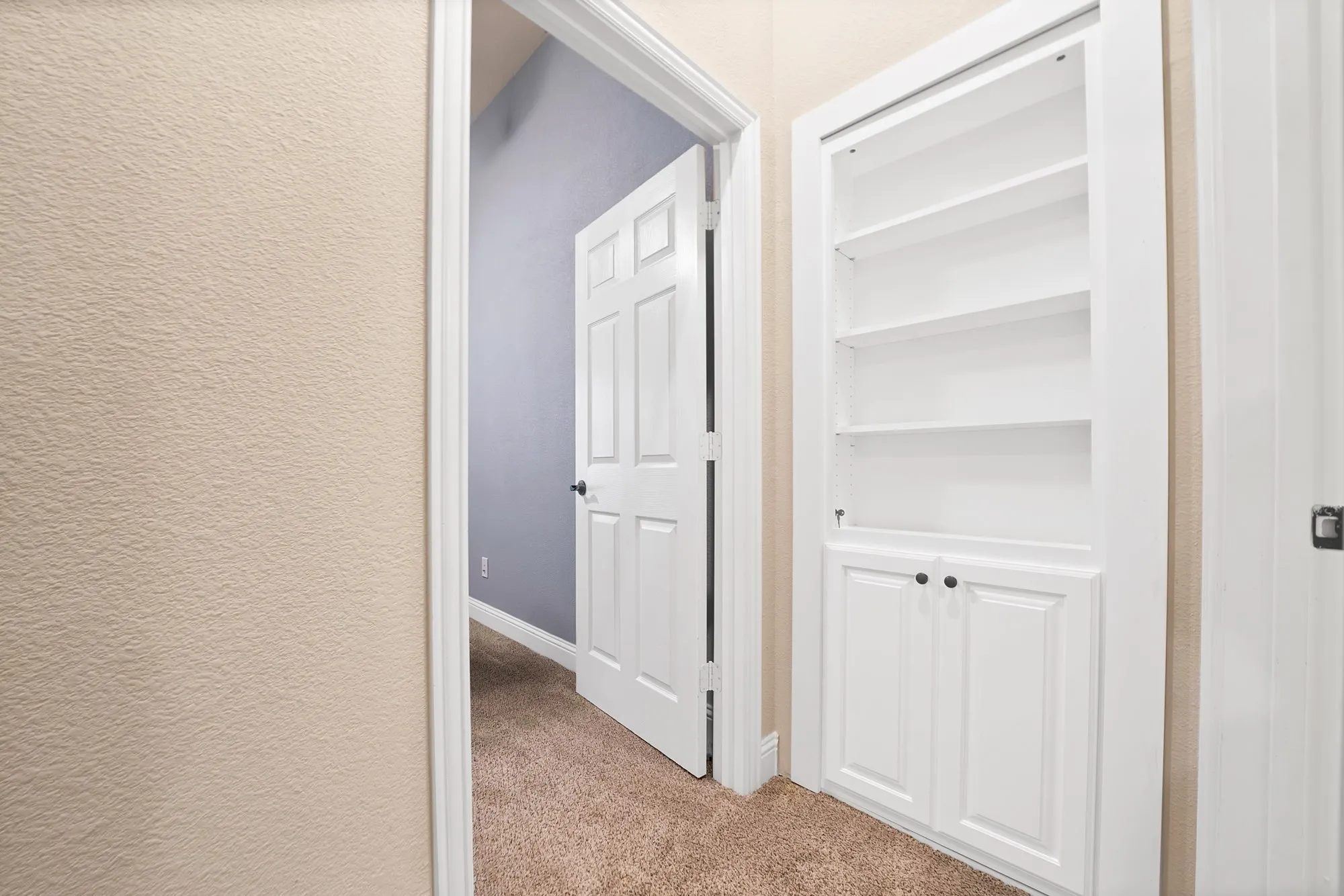 Built-in shelving with lower cabinetry, paneled interior doors, and carpeted flooring