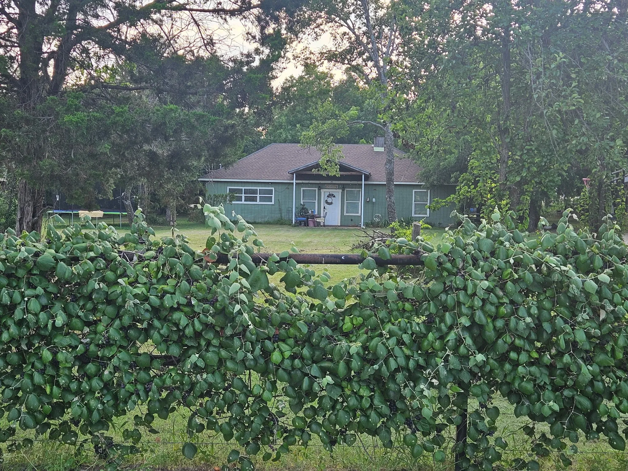 Single Family Residence For Sale in Wise County , 138 County Road 4876, Newark, Texas 76071, 3 Bedroom, 3 Bathroom, 4 Garage spaces, 3,338 Sqft, built in 2014, mls#21356820, Real Estate Agent in Newark, Homes For Sale in Wise county, Homes For Sale in Newark, Realtor in Newark Texas, Real Estate Brokerage Independent Realty Texas, Luminita Cordes Realtor