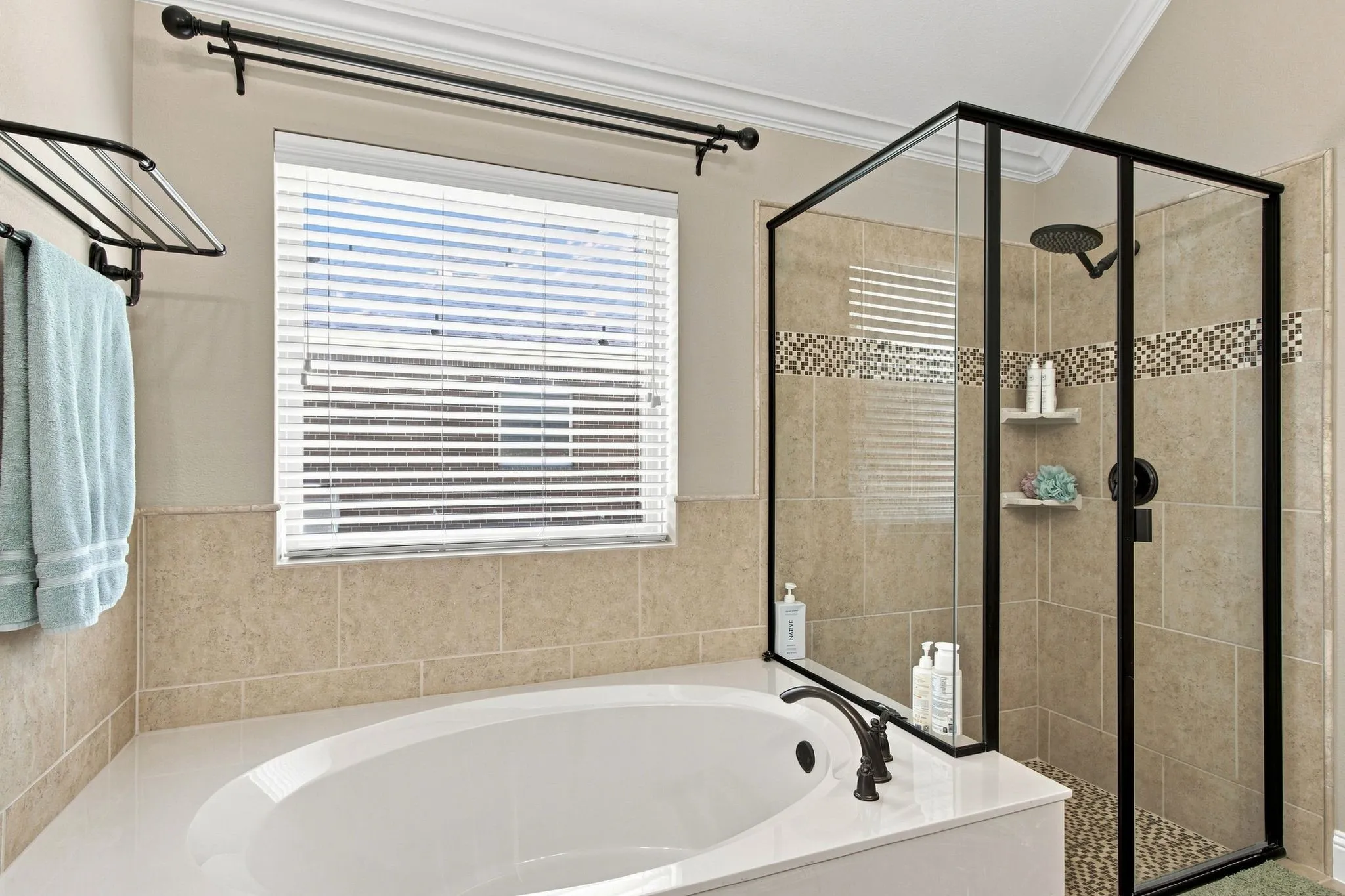 Primary bathroom view 3