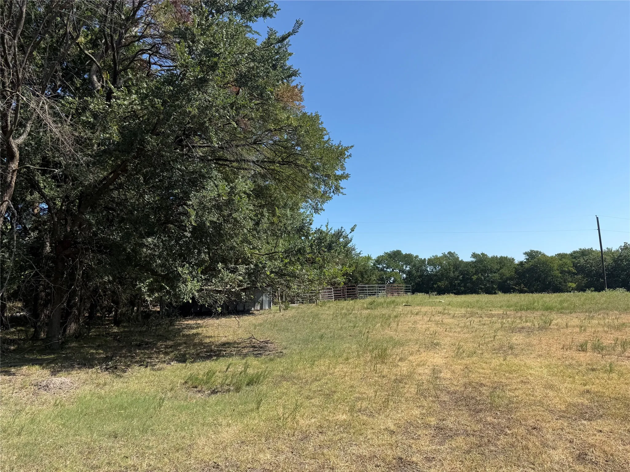 Unimproved Land For Sale in Fannin County , 0000 CR 4232, Bonham, Texas 75418, 0, 0, Garage spaces, 0 Sqft, built in 0, mls#21355952, Real Estate Agent in Bonham, Homes For Sale in Fannin county, Homes For Sale in Bonham, Realtor in Bonham Texas, Real Estate Brokerage Independent Realty Texas, Luminita Cordes Realtor