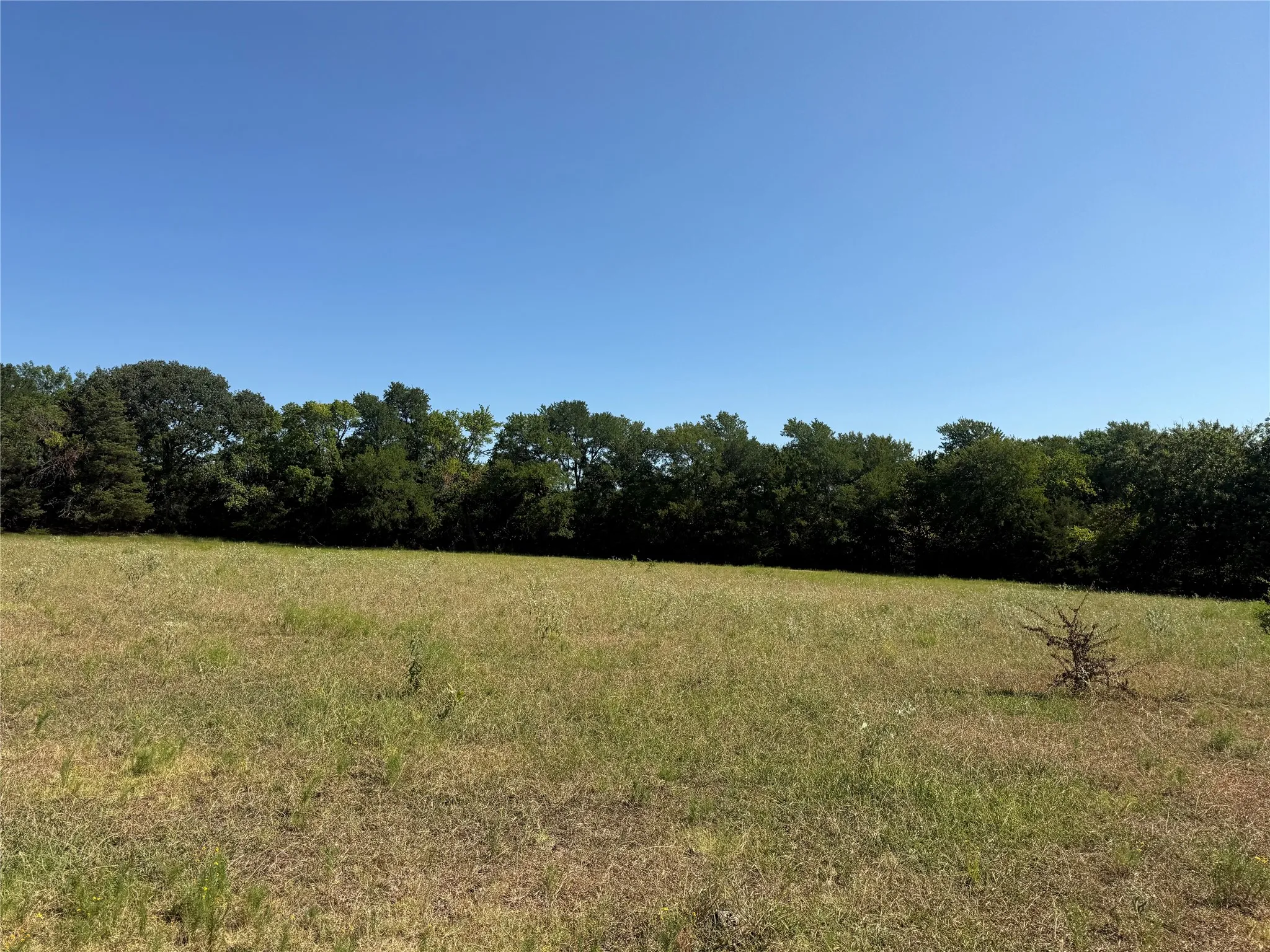 Unimproved Land For Sale in Fannin County , 0000 CR 4232, Bonham, Texas 75418, 0, 0, Garage spaces, 0 Sqft, built in 0, mls#21355952, Real Estate Agent in Bonham, Homes For Sale in Fannin county, Homes For Sale in Bonham, Realtor in Bonham Texas, Real Estate Brokerage Independent Realty Texas, Luminita Cordes Realtor