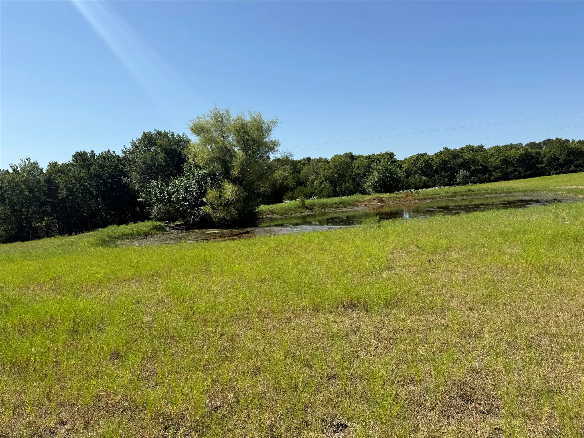 Unimproved Land For Sale in Fannin County , 0000 CR 4232, Bonham, Texas 75418, 0, 0, Garage spaces, 0 Sqft, built in 0, mls#21355952, Real Estate Agent in Bonham, Homes For Sale in Fannin county, Homes For Sale in Bonham, Realtor in Bonham Texas, Real Estate Brokerage Independent Realty Texas, Luminita Cordes Realtor
