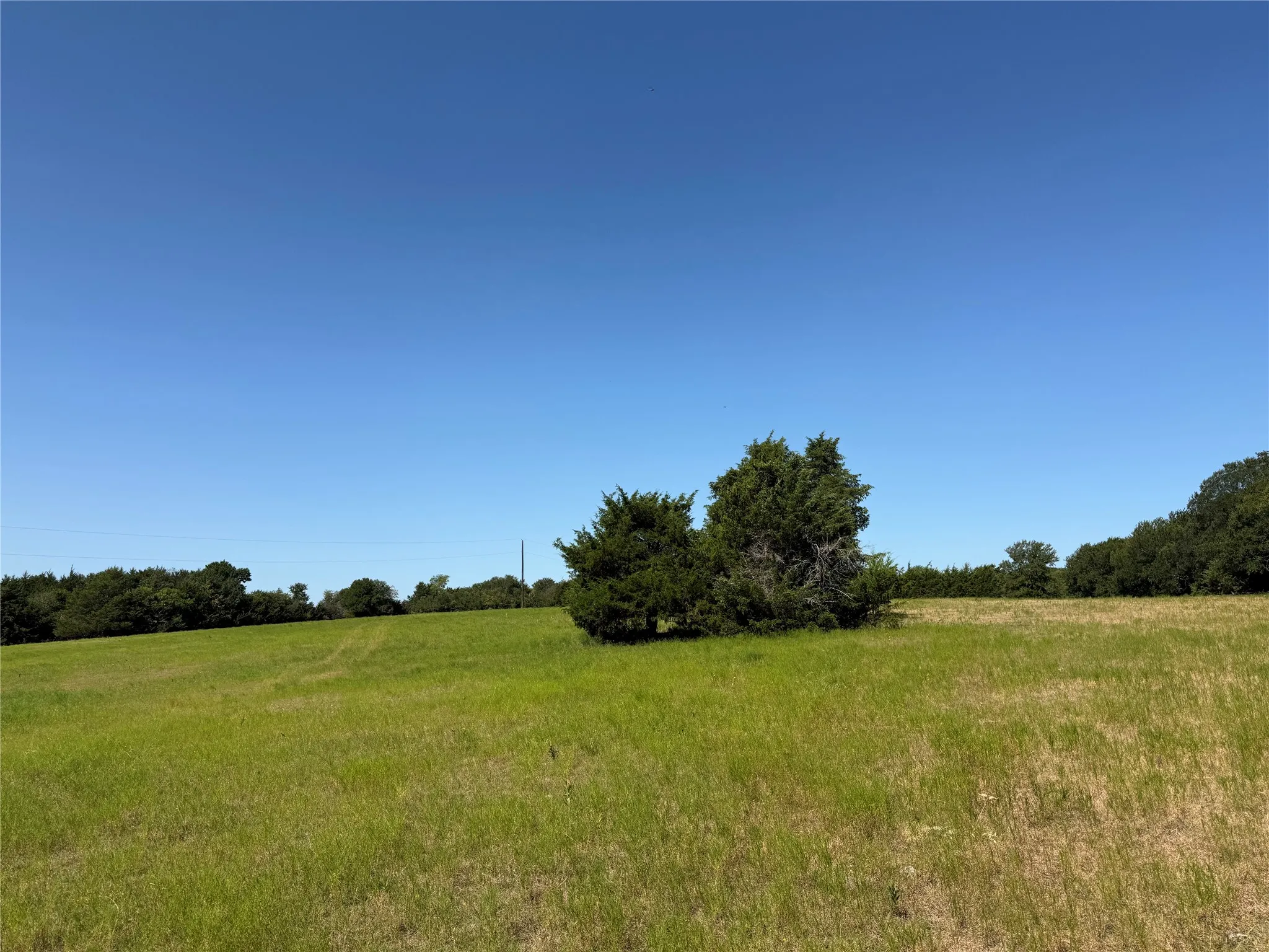 Unimproved Land For Sale in Fannin County , 0000 CR 4232, Bonham, Texas 75418, 0, 0, Garage spaces, 0 Sqft, built in 0, mls#21355952, Real Estate Agent in Bonham, Homes For Sale in Fannin county, Homes For Sale in Bonham, Realtor in Bonham Texas, Real Estate Brokerage Independent Realty Texas, Luminita Cordes Realtor