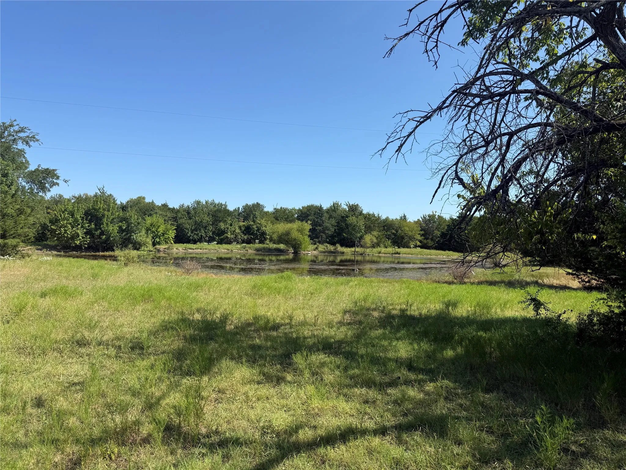 Unimproved Land For Sale in Fannin County , 0000 CR 4232, Bonham, Texas 75418, 0, 0, Garage spaces, 0 Sqft, built in 0, mls#21355952, Real Estate Agent in Bonham, Homes For Sale in Fannin county, Homes For Sale in Bonham, Realtor in Bonham Texas, Real Estate Brokerage Independent Realty Texas, Luminita Cordes Realtor
