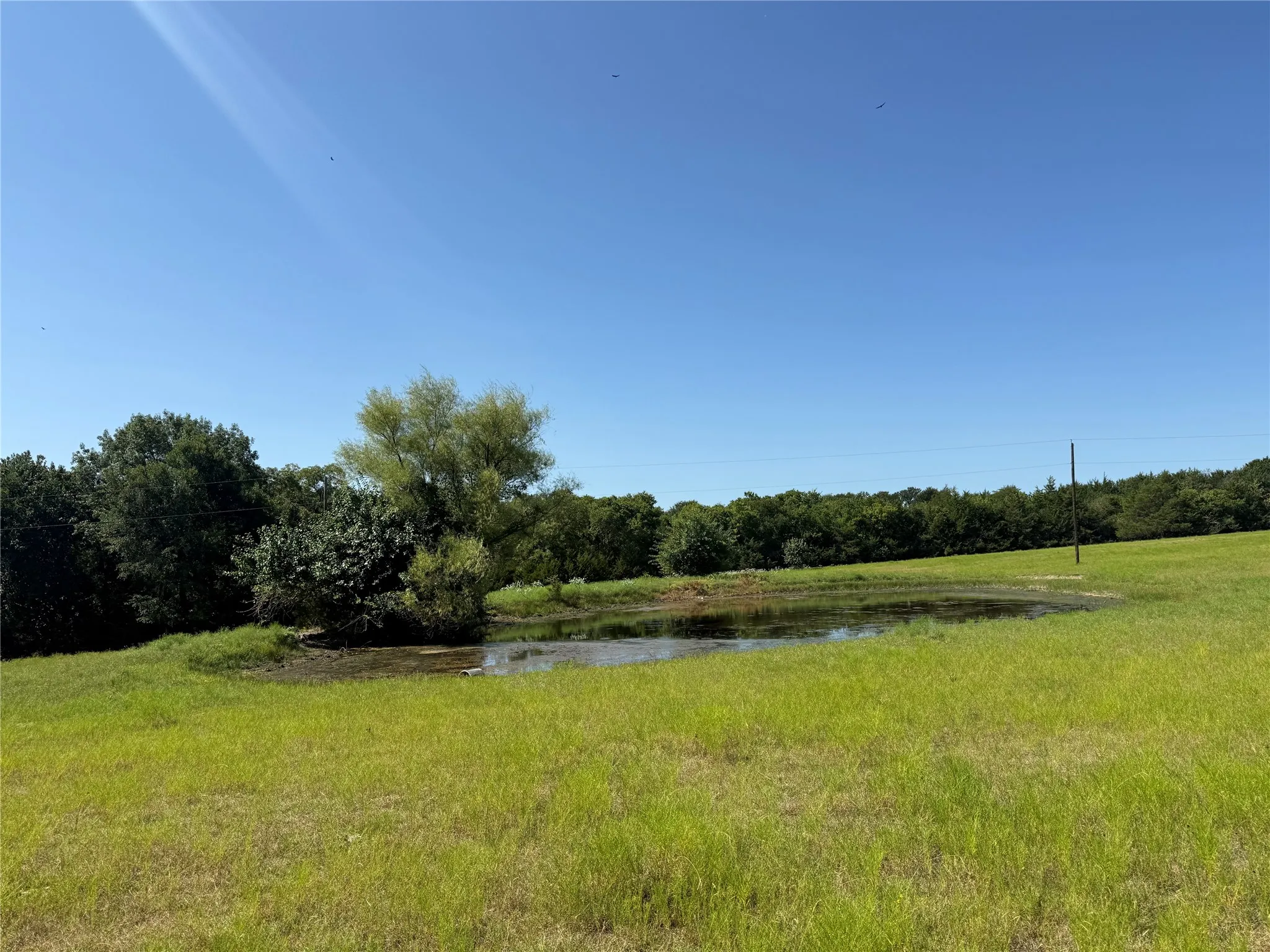 Unimproved Land For Sale in Fannin County , 0000 CR 4232, Bonham, Texas 75418, 0, 0, Garage spaces, 0 Sqft, built in 0, mls#21355952, Real Estate Agent in Bonham, Homes For Sale in Fannin county, Homes For Sale in Bonham, Realtor in Bonham Texas, Real Estate Brokerage Independent Realty Texas, Luminita Cordes Realtor