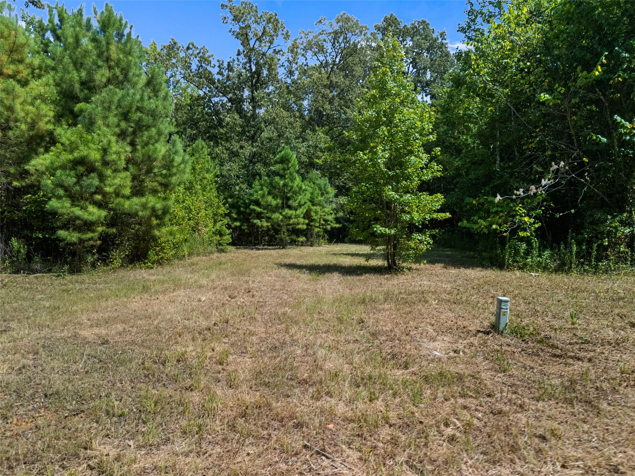 Unimproved Land For Sale in Upshur County , 8434 2796 Road, Gilmer, Texas 75644, 0, 0, Garage spaces, 0 Sqft, built in 0, mls#21356842, Real Estate Agent in Gilmer, Homes For Sale in Upshur county, Homes For Sale in Gilmer, Realtor in Gilmer Texas, Real Estate Brokerage Independent Realty Texas, Luminita Cordes Realtor