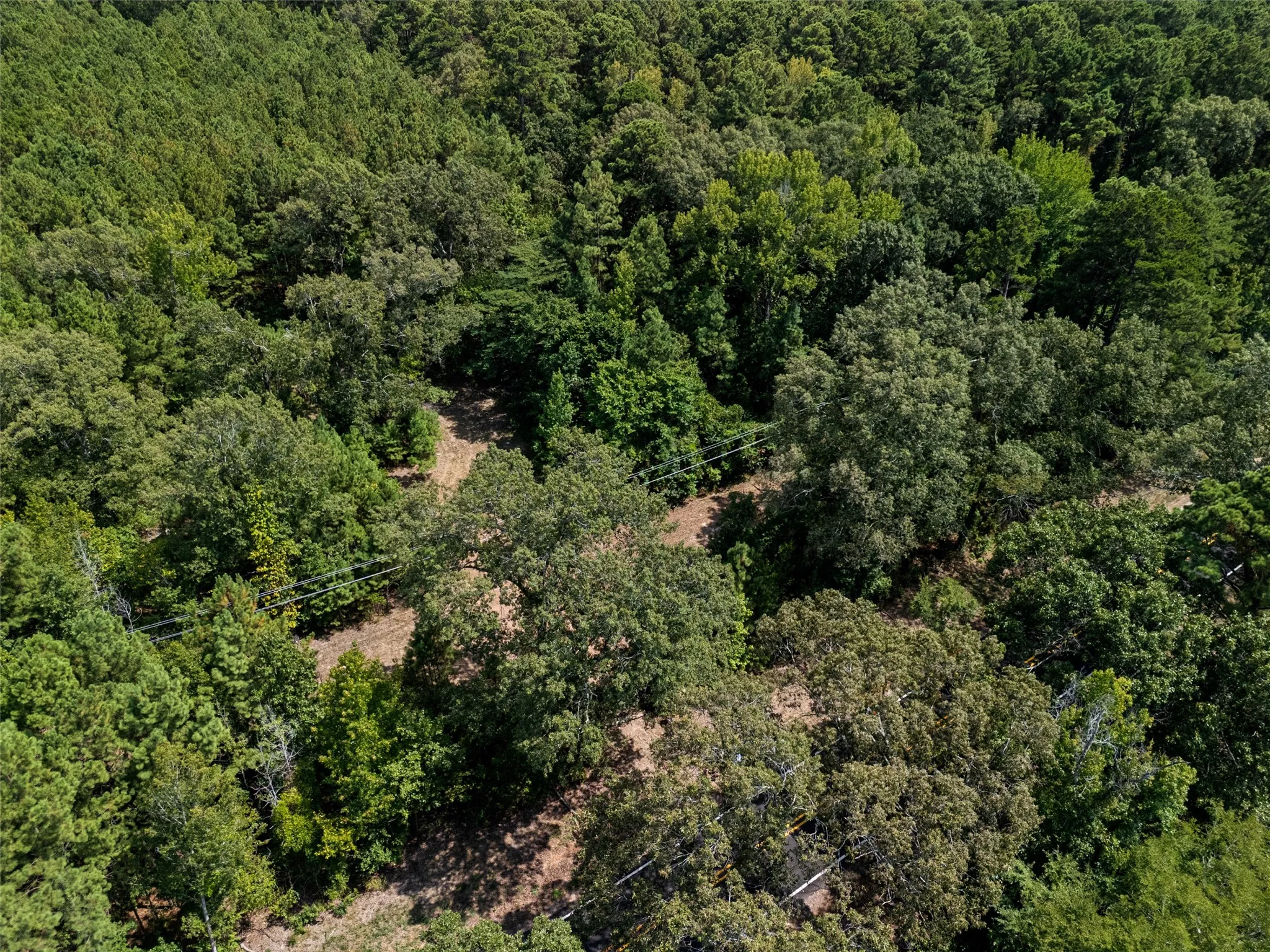 Unimproved Land For Sale in Upshur County , 8434 2796 Road, Gilmer, Texas 75644, 0, 0, Garage spaces, 0 Sqft, built in 0, mls#21356842, Real Estate Agent in Gilmer, Homes For Sale in Upshur county, Homes For Sale in Gilmer, Realtor in Gilmer Texas, Real Estate Brokerage Independent Realty Texas, Luminita Cordes Realtor