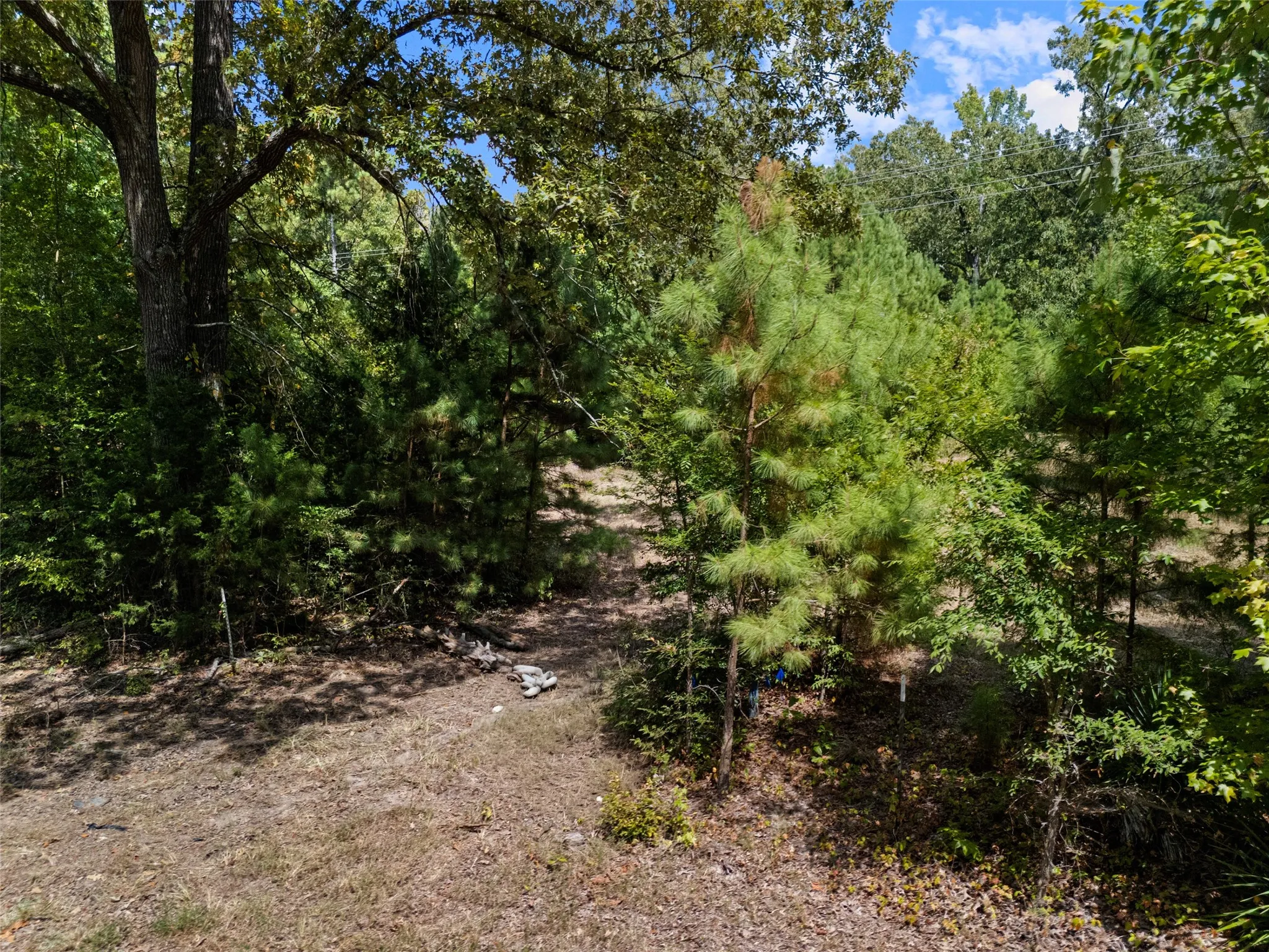 Unimproved Land For Sale in Upshur County , 8434 2796 Road, Gilmer, Texas 75644, 0, 0, Garage spaces, 0 Sqft, built in 0, mls#21356842, Real Estate Agent in Gilmer, Homes For Sale in Upshur county, Homes For Sale in Gilmer, Realtor in Gilmer Texas, Real Estate Brokerage Independent Realty Texas, Luminita Cordes Realtor
