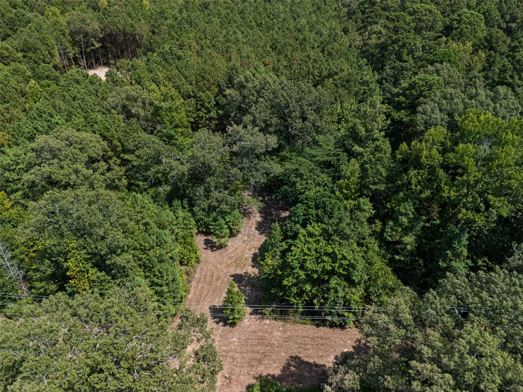 Unimproved Land For Sale in Upshur County , 8434 2796 Road, Gilmer, Texas 75644, 0, 0, Garage spaces, 0 Sqft, built in 0, mls#21356842, Real Estate Agent in Gilmer, Homes For Sale in Upshur county, Homes For Sale in Gilmer, Realtor in Gilmer Texas, Real Estate Brokerage Independent Realty Texas, Luminita Cordes Realtor