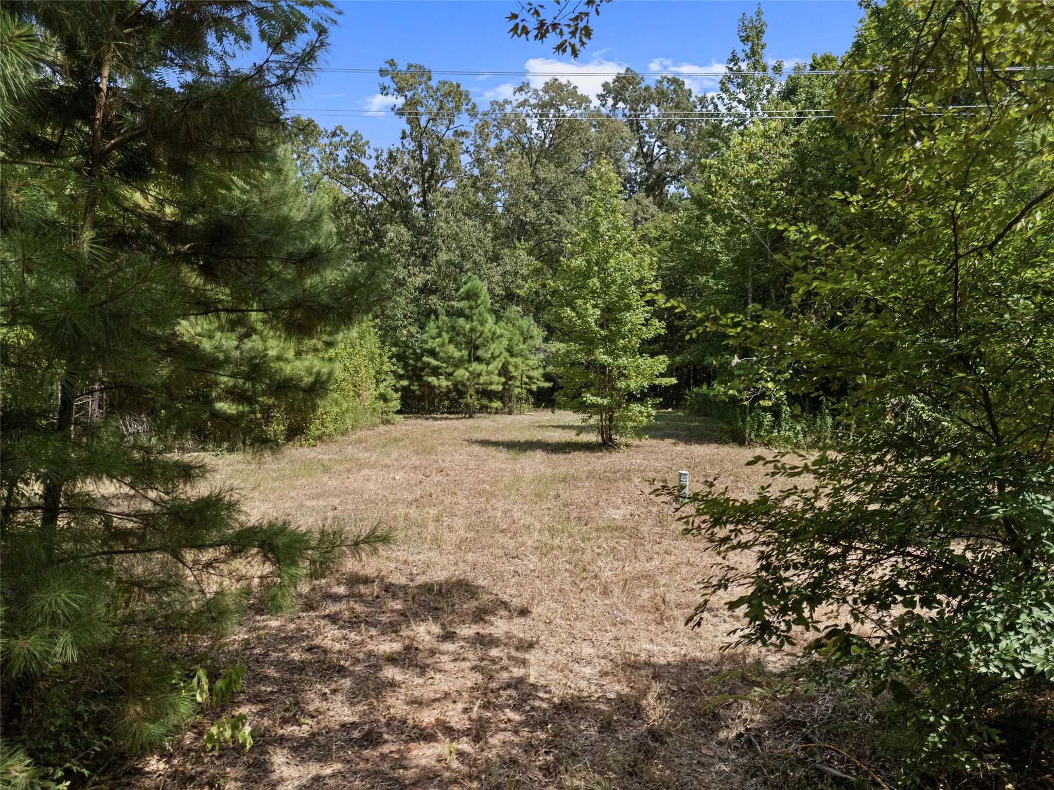 Unimproved Land For Sale in Upshur County , 8434 2796 Road, Gilmer, Texas 75644, 0, 0, Garage spaces, 0 Sqft, built in 0, mls#21356842, Real Estate Agent in Gilmer, Homes For Sale in Upshur county, Homes For Sale in Gilmer, Realtor in Gilmer Texas, Real Estate Brokerage Independent Realty Texas, Luminita Cordes Realtor