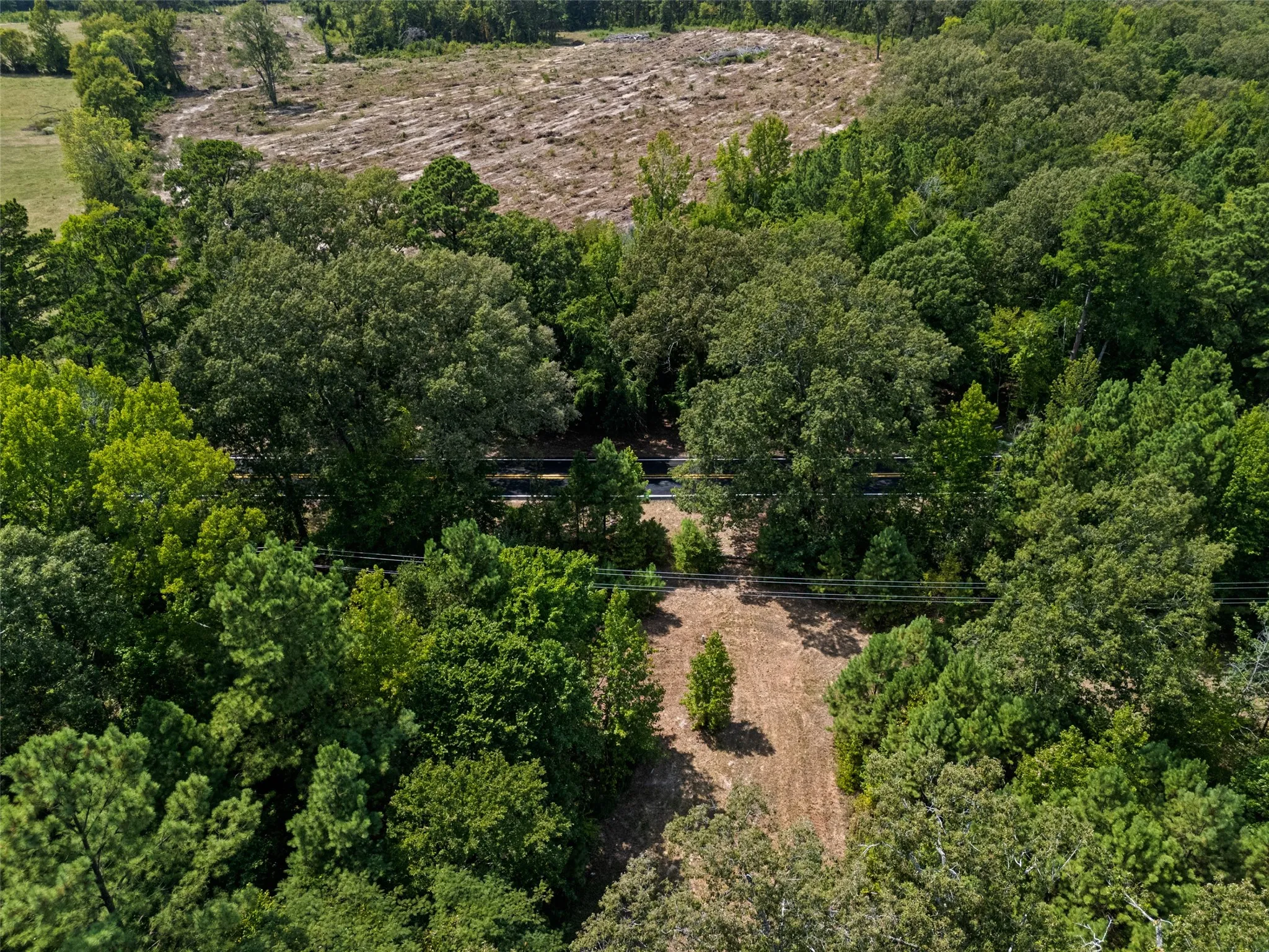Unimproved Land For Sale in Upshur County , 8434 2796 Road, Gilmer, Texas 75644, 0, 0, Garage spaces, 0 Sqft, built in 0, mls#21356842, Real Estate Agent in Gilmer, Homes For Sale in Upshur county, Homes For Sale in Gilmer, Realtor in Gilmer Texas, Real Estate Brokerage Independent Realty Texas, Luminita Cordes Realtor