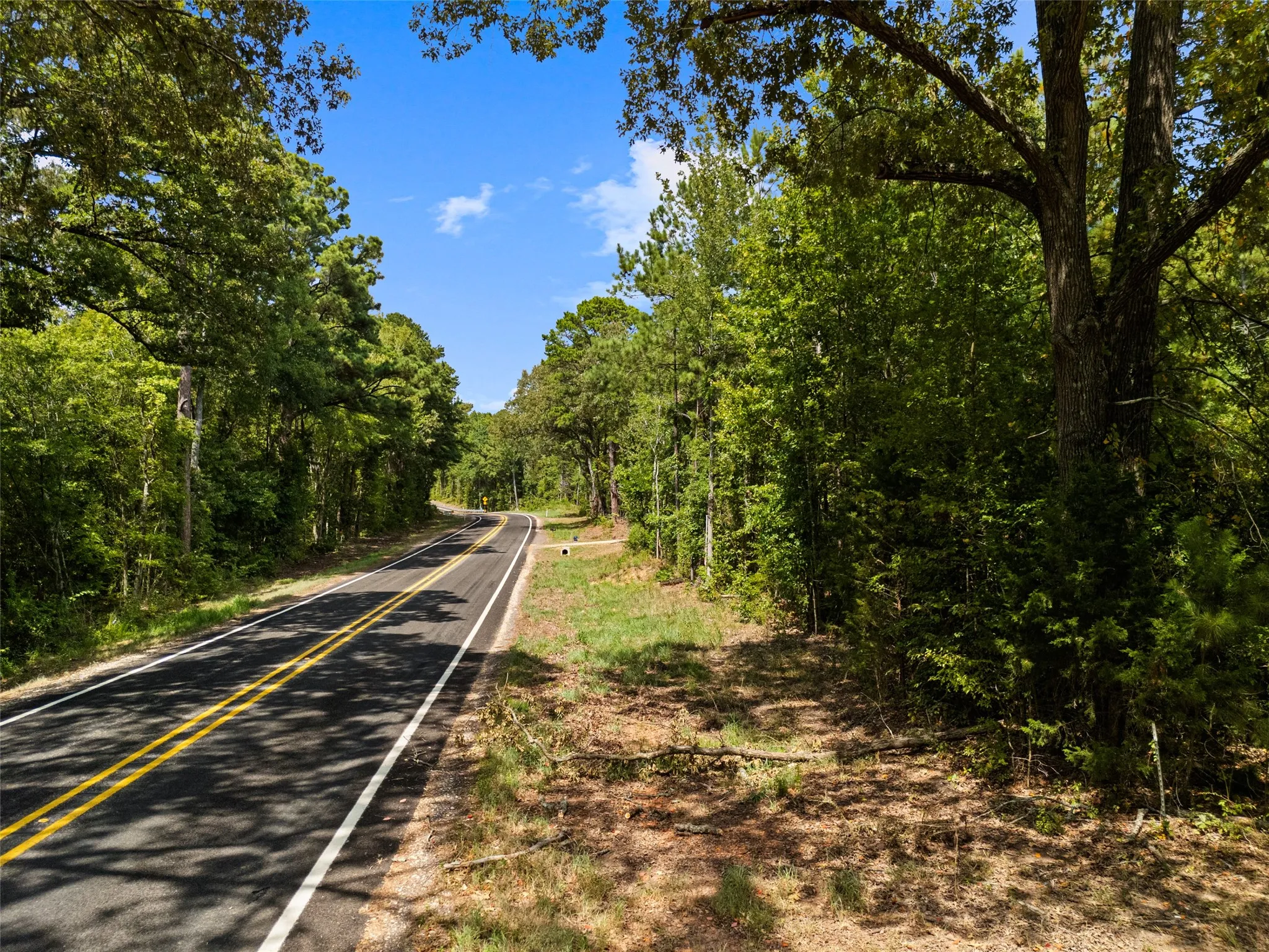 Unimproved Land For Sale in Upshur County , 8434 2796 Road, Gilmer, Texas 75644, 0, 0, Garage spaces, 0 Sqft, built in 0, mls#21356842, Real Estate Agent in Gilmer, Homes For Sale in Upshur county, Homes For Sale in Gilmer, Realtor in Gilmer Texas, Real Estate Brokerage Independent Realty Texas, Luminita Cordes Realtor