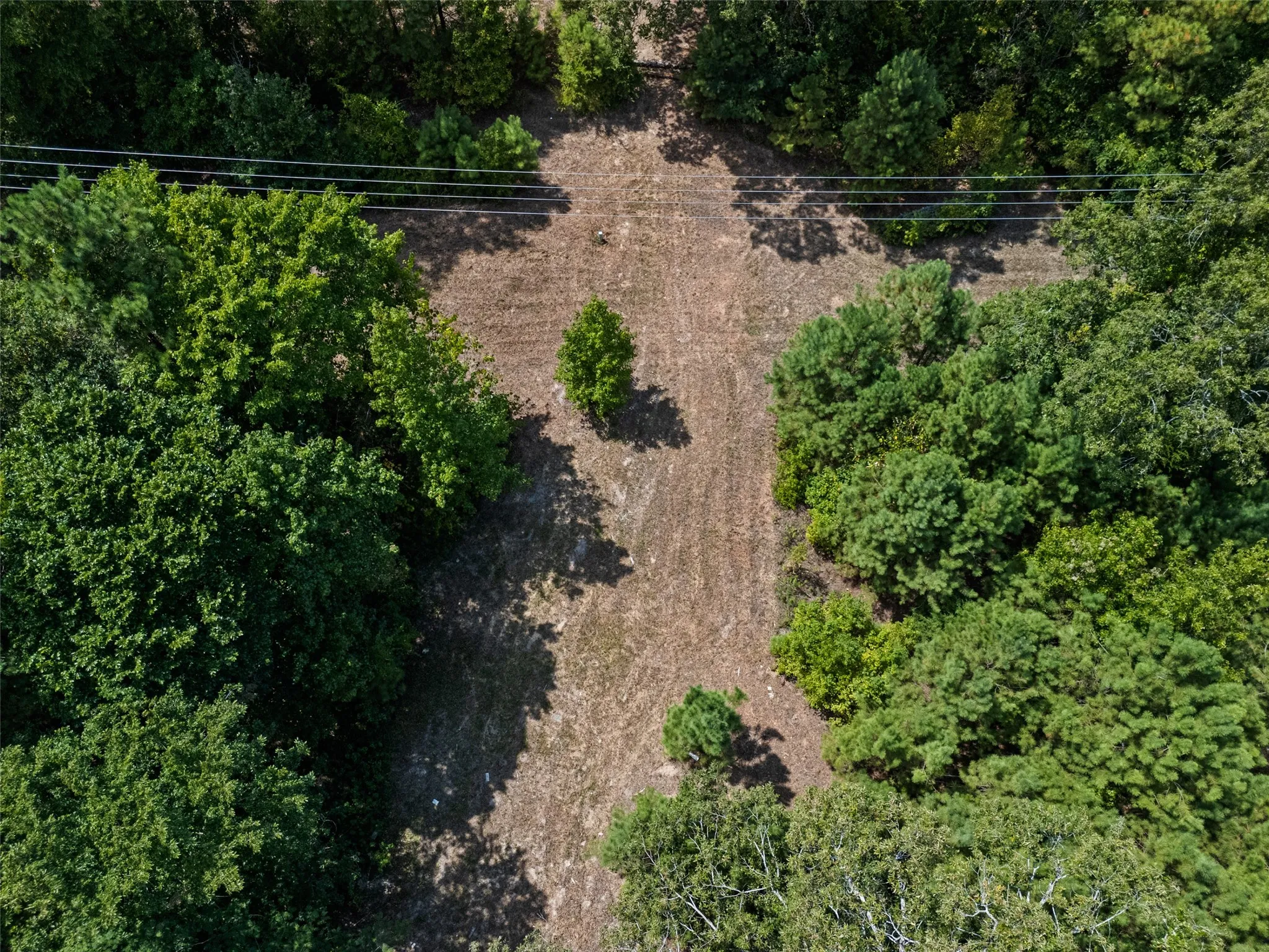 Unimproved Land For Sale in Upshur County , 8434 2796 Road, Gilmer, Texas 75644, 0, 0, Garage spaces, 0 Sqft, built in 0, mls#21356842, Real Estate Agent in Gilmer, Homes For Sale in Upshur county, Homes For Sale in Gilmer, Realtor in Gilmer Texas, Real Estate Brokerage Independent Realty Texas, Luminita Cordes Realtor