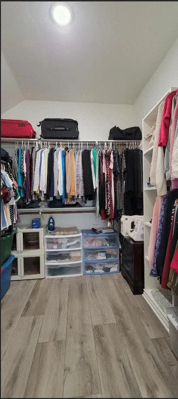 Walk-in closet featuring wood-finish flooring, built-in shelving, hanging rods, and an overhead light fixture