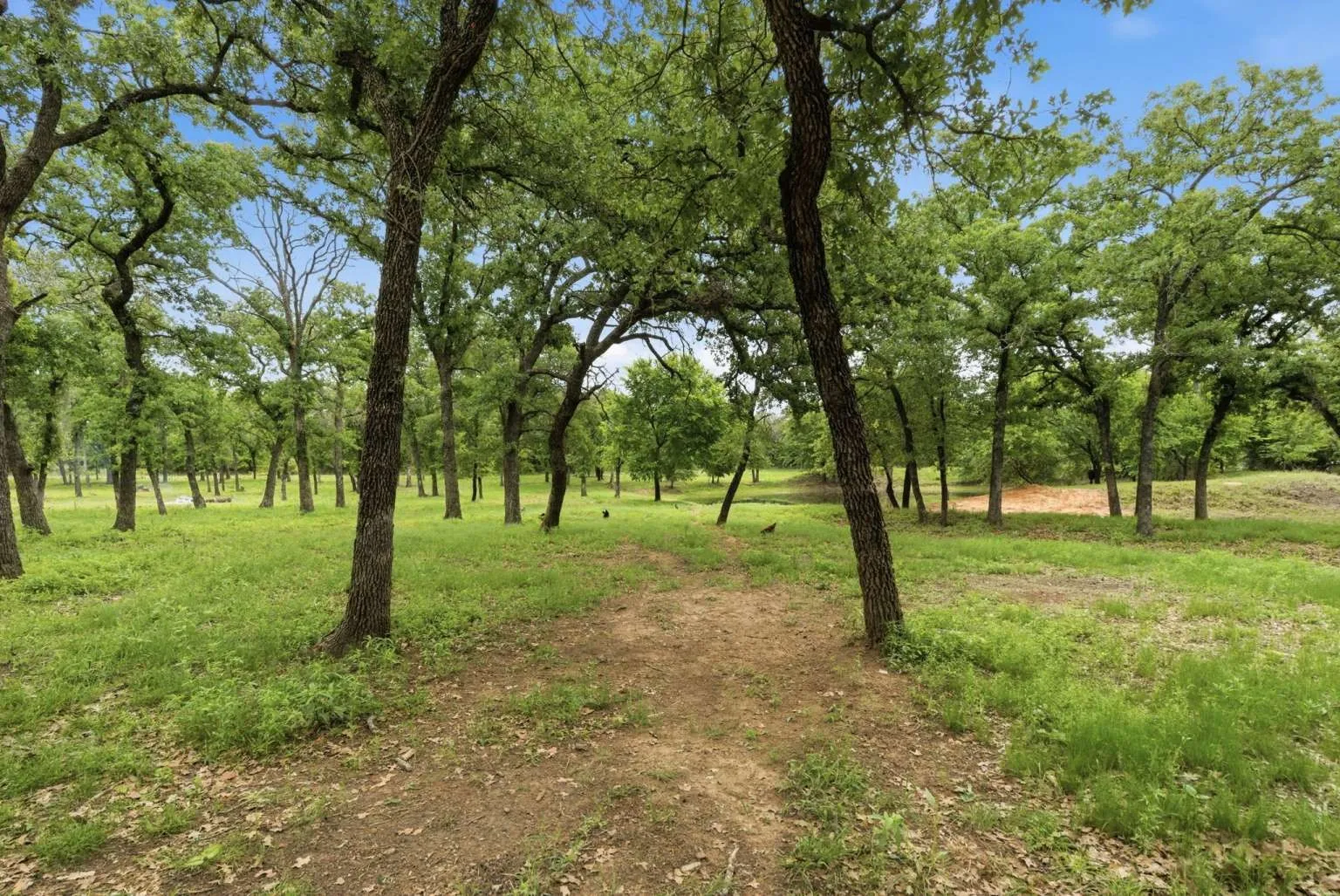 Single Family Residence For Sale in Parker County , 1012 Cheyenne Road, Poolville, Texas 76487, 5 Bedroom, 7 Bathroom, 2 Garage spaces, 4,163 Sqft, built in 2022, Price $1,450,000, mls#21356891, Real Estate Agent in Poolville, Homes For Sale in Parker county, Homes For Sale in Poolville, Realtor in Poolville Texas, Real Estate Brokerage Independent Realty Texas, Luminita Cordes Realtor
