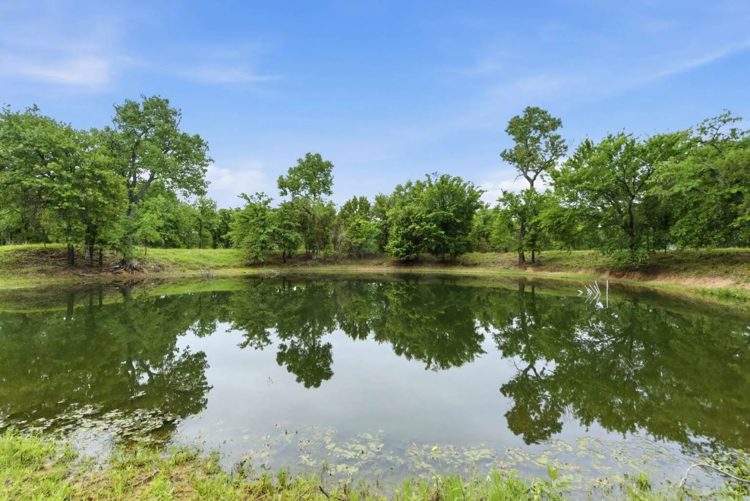 Single Family Residence For Sale in Parker County , 1012 Cheyenne Road, Poolville, Texas 76487, 5 Bedroom, 7 Bathroom, 2 Garage spaces, 4,163 Sqft, built in 2022, Price $1,450,000, mls#21356891, Real Estate Agent in Poolville, Homes For Sale in Parker county, Homes For Sale in Poolville, Realtor in Poolville Texas, Real Estate Brokerage Independent Realty Texas, Luminita Cordes Realtor