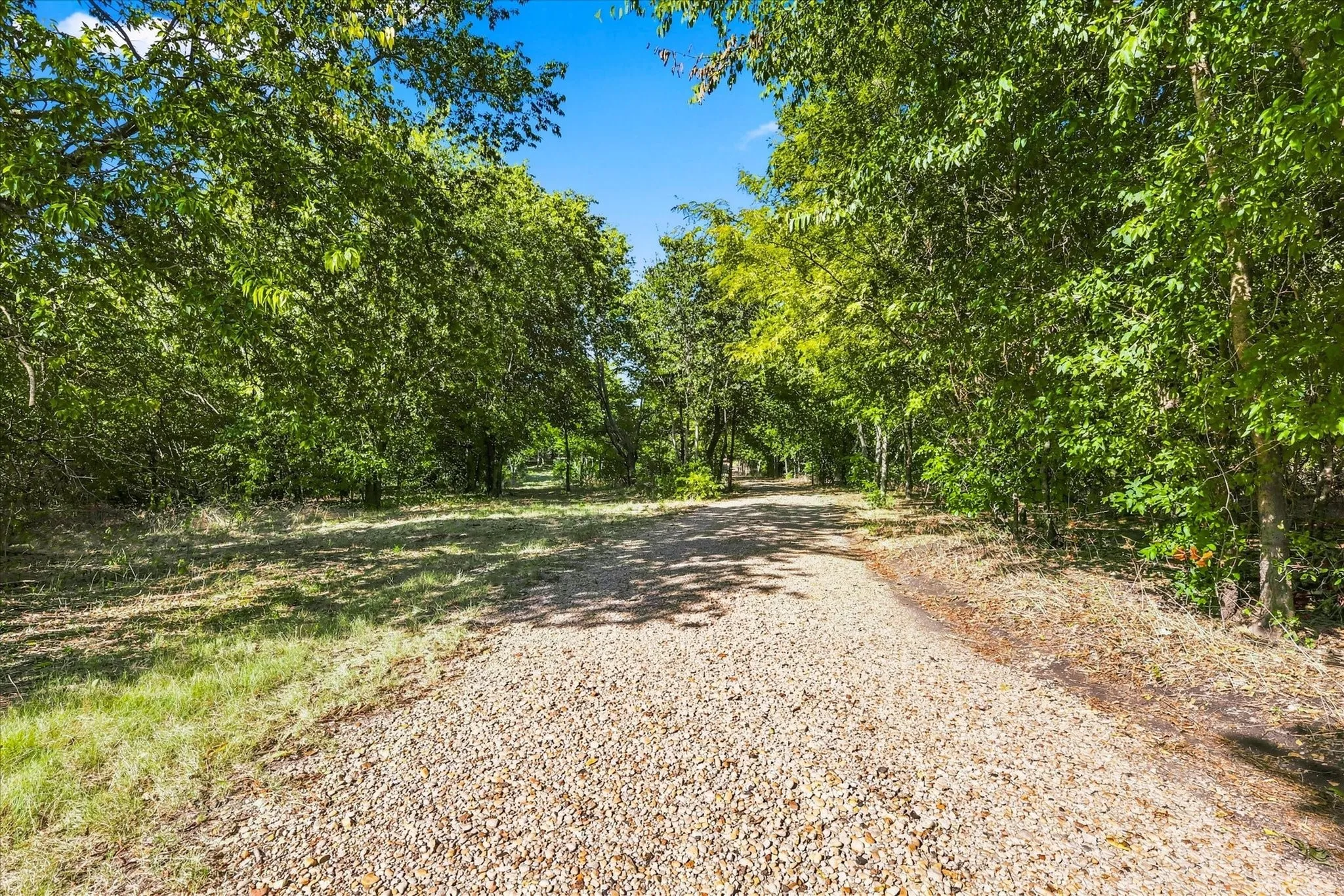 Gravel pathway framed by mature trees and natural vegetation