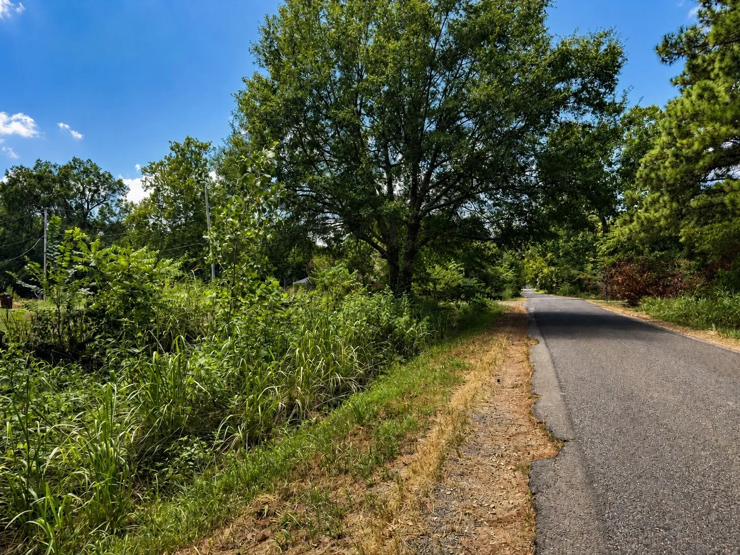 Improved Land For Sale in Lamar County , 230 Hickory Street, Blossom, Texas 75416, 0, 0, Garage spaces, 0 Sqft, built in 0, mls#21356970, Real Estate Agent in Blossom, Homes For Sale in Lamar county, Homes For Sale in Blossom, Realtor in Blossom Texas, Real Estate Brokerage Independent Realty Texas, Luminita Cordes Realtor