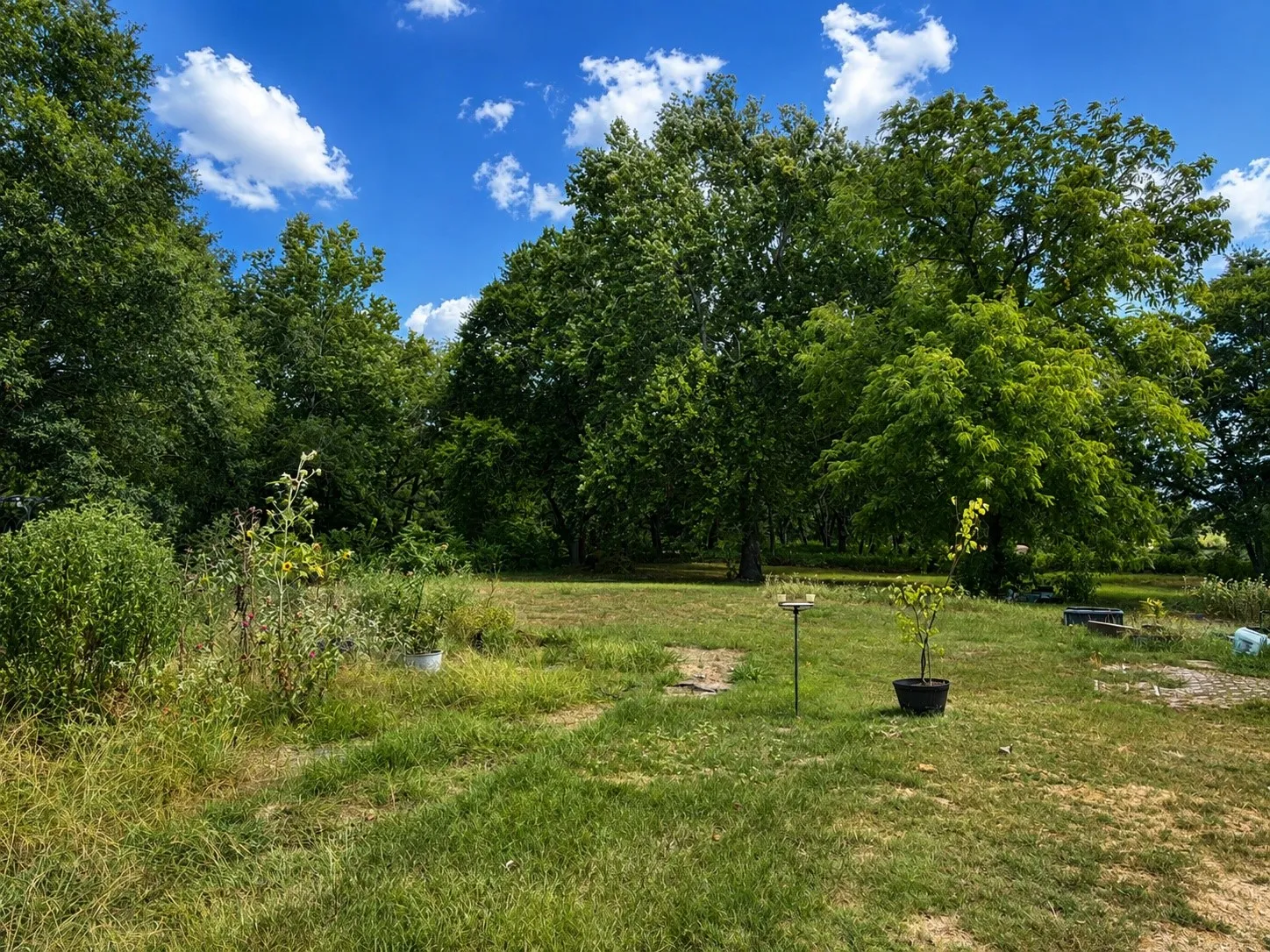 Improved Land For Sale in Lamar County , 230 Hickory Street, Blossom, Texas 75416, 0, 0, Garage spaces, 0 Sqft, built in 0, mls#21356970, Real Estate Agent in Blossom, Homes For Sale in Lamar county, Homes For Sale in Blossom, Realtor in Blossom Texas, Real Estate Brokerage Independent Realty Texas, Luminita Cordes Realtor