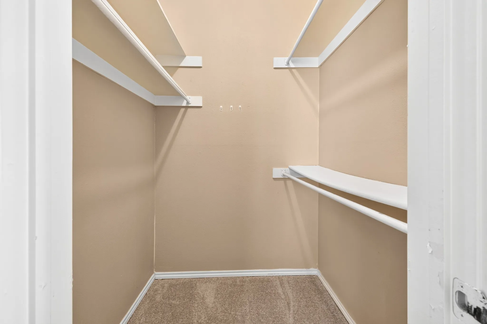 Carpeted closet with built-in shelving and clothes rods