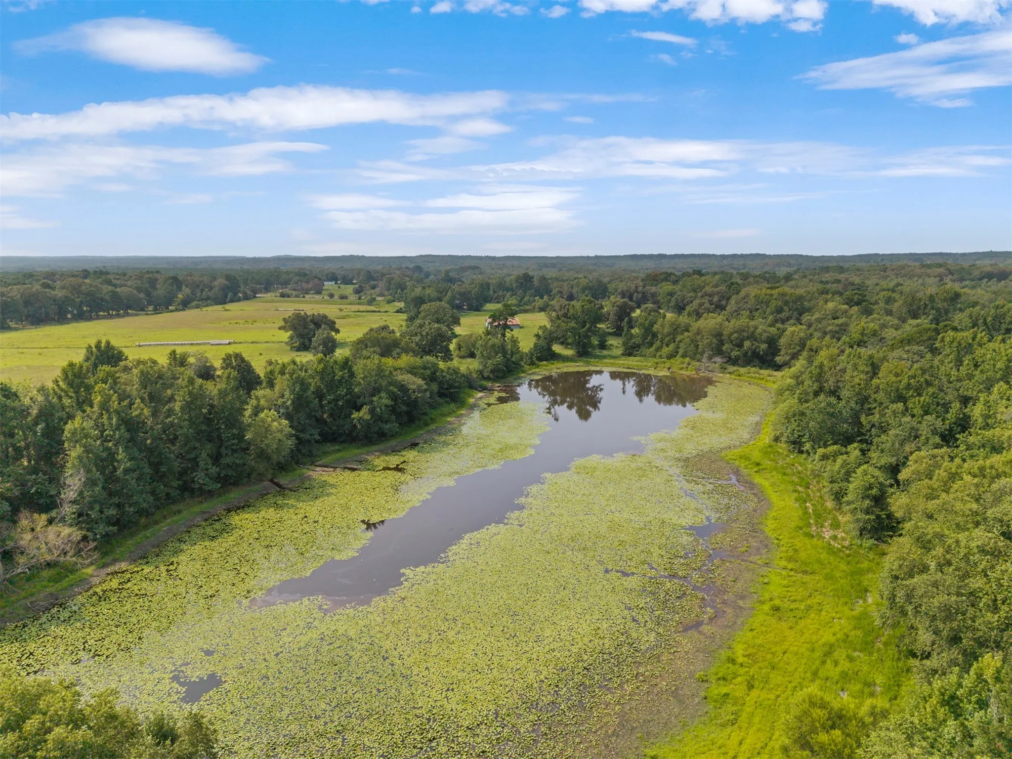 Farm For Sale in Wood County , 3349 E State Highway 154, Quitman, Texas 75783, 3 Bedroom, 3 Bathroom, 2 Garage spaces, 2,674 Sqft, built in 1960, mls#21356912, Real Estate Agent in Quitman, Homes For Sale in Wood county, Homes For Sale in Quitman, Realtor in Quitman Texas, Real Estate Brokerage Independent Realty Texas, Luminita Cordes Realtor