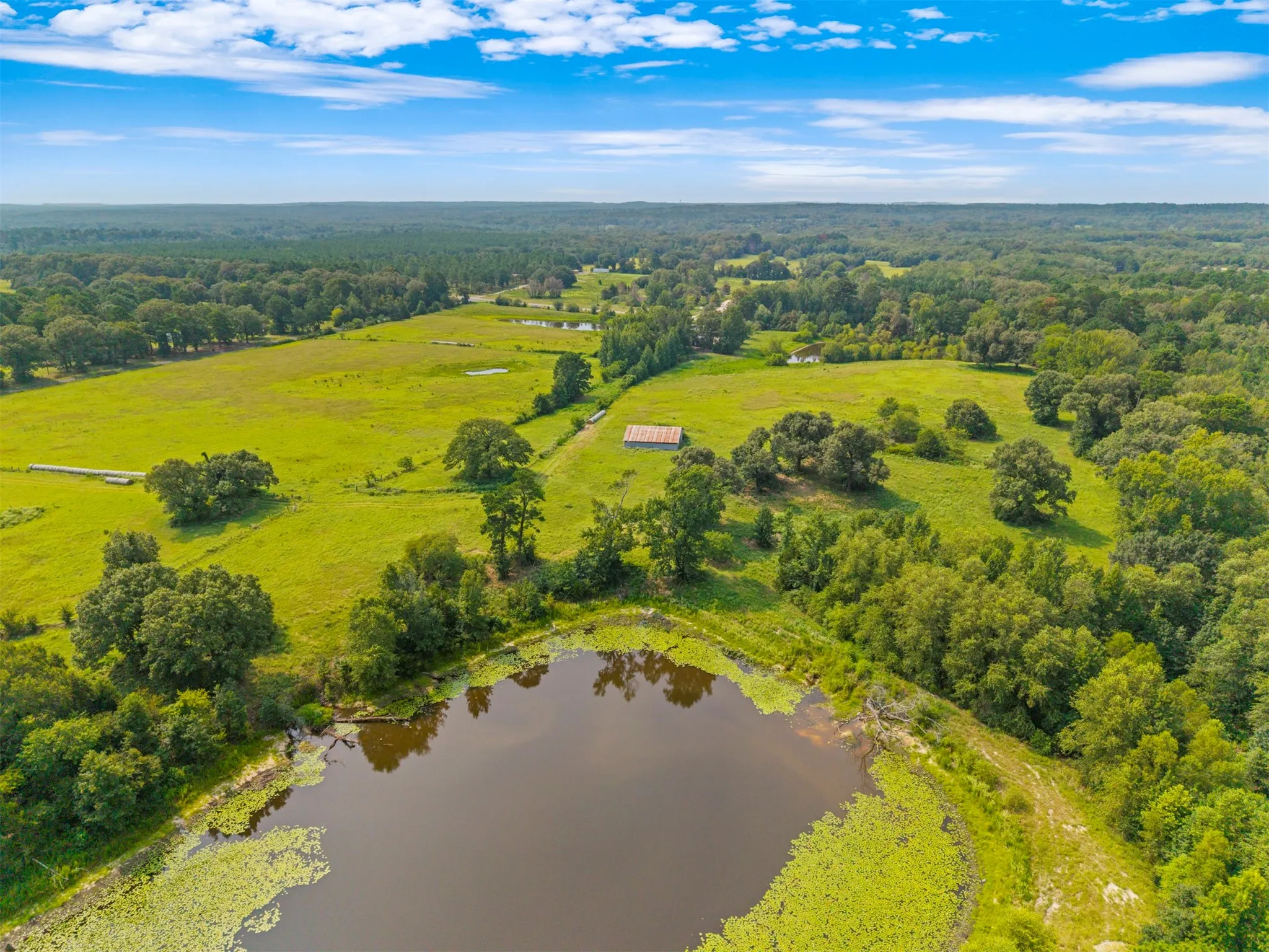 Farm For Sale in Wood County , 3349 E State Highway 154, Quitman, Texas 75783, 3 Bedroom, 3 Bathroom, 2 Garage spaces, 2,674 Sqft, built in 1960, mls#21356912, Real Estate Agent in Quitman, Homes For Sale in Wood county, Homes For Sale in Quitman, Realtor in Quitman Texas, Real Estate Brokerage Independent Realty Texas, Luminita Cordes Realtor