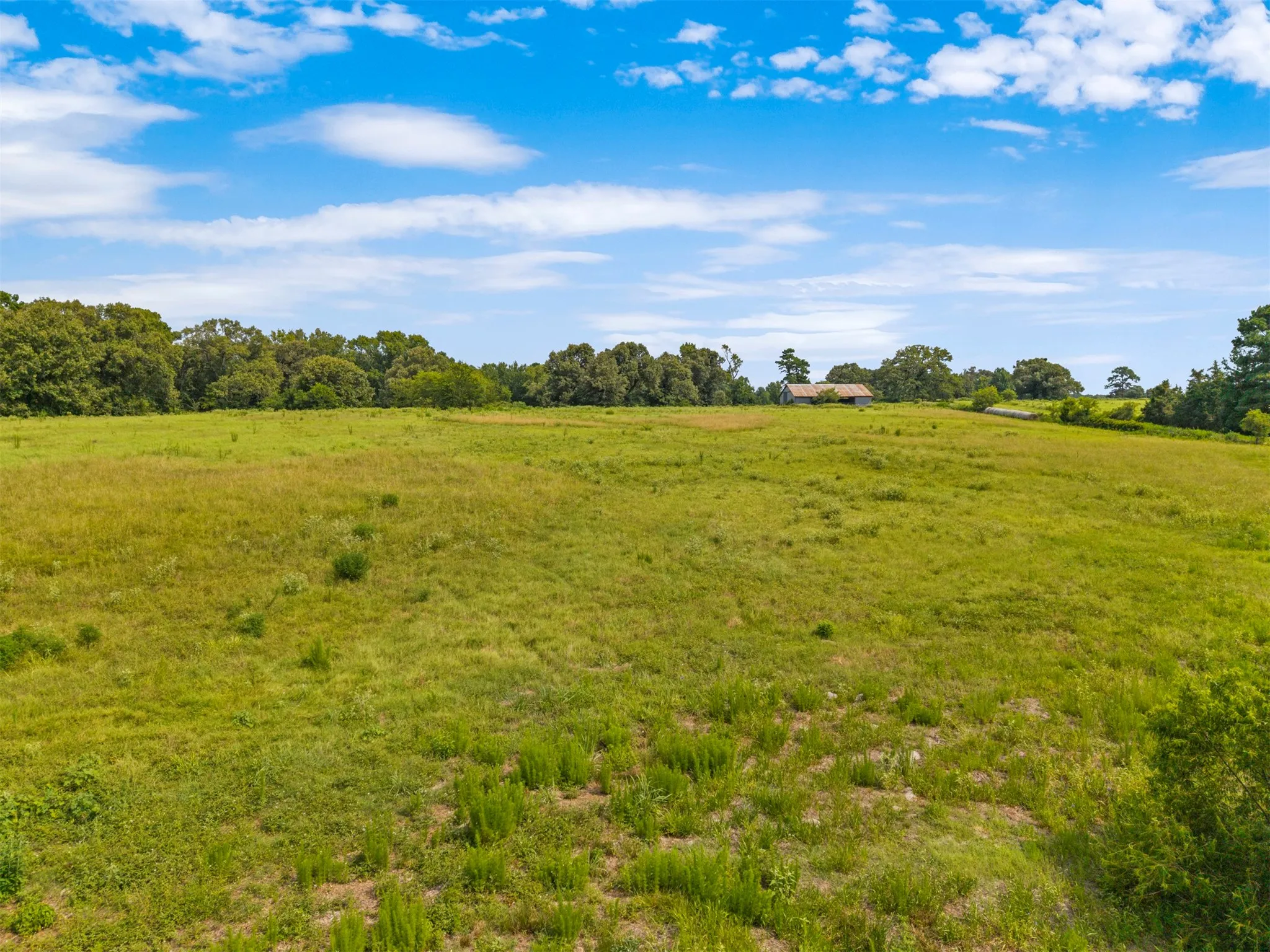 Farm For Sale in Wood County , 3349 E State Highway 154, Quitman, Texas 75783, 3 Bedroom, 3 Bathroom, 2 Garage spaces, 2,674 Sqft, built in 1960, mls#21356912, Real Estate Agent in Quitman, Homes For Sale in Wood county, Homes For Sale in Quitman, Realtor in Quitman Texas, Real Estate Brokerage Independent Realty Texas, Luminita Cordes Realtor