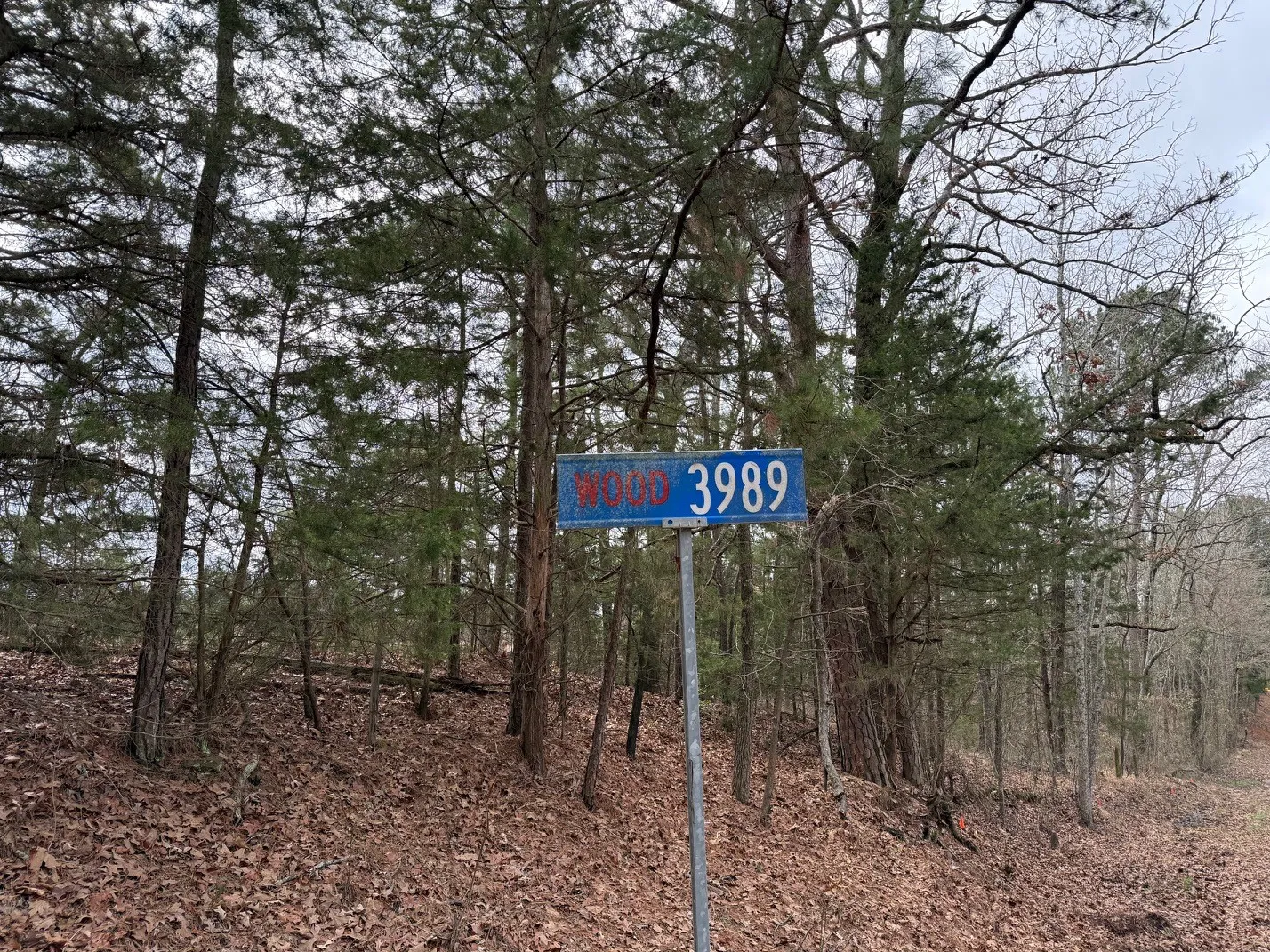 Unimproved Land For Sale in Wood County , TBD County Road 3986, Winnsboro, Texas 75494, 0, 0, Garage spaces, 0 Sqft, built in 0, mls#21357062, Real Estate Agent in Winnsboro, Homes For Sale in Wood county, Homes For Sale in Winnsboro, Realtor in Winnsboro Texas, Real Estate Brokerage Independent Realty Texas, Luminita Cordes Realtor