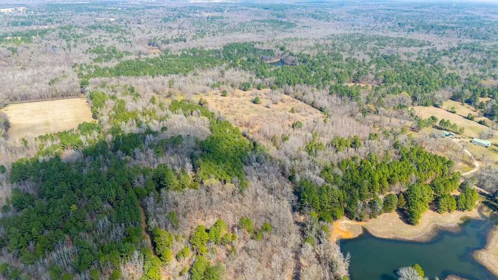 Unimproved Land For Sale in Wood County , TBD County Road 3986, Winnsboro, Texas 75494, 0, 0, Garage spaces, 0 Sqft, built in 0, mls#21357062, Real Estate Agent in Winnsboro, Homes For Sale in Wood county, Homes For Sale in Winnsboro, Realtor in Winnsboro Texas, Real Estate Brokerage Independent Realty Texas, Luminita Cordes Realtor