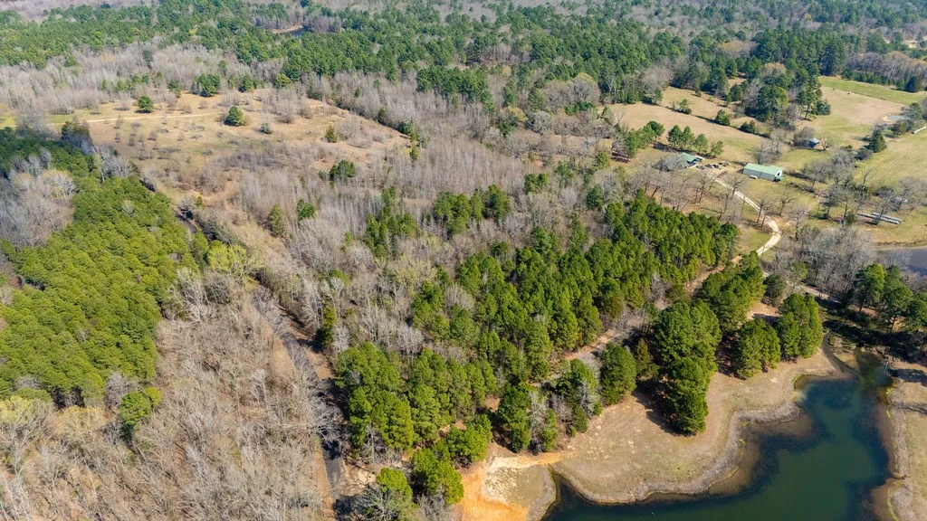 Unimproved Land For Sale in Wood County , TBD County Road 3986, Winnsboro, Texas 75494, 0, 0, Garage spaces, 0 Sqft, built in 0, mls#21357062, Real Estate Agent in Winnsboro, Homes For Sale in Wood county, Homes For Sale in Winnsboro, Realtor in Winnsboro Texas, Real Estate Brokerage Independent Realty Texas, Luminita Cordes Realtor