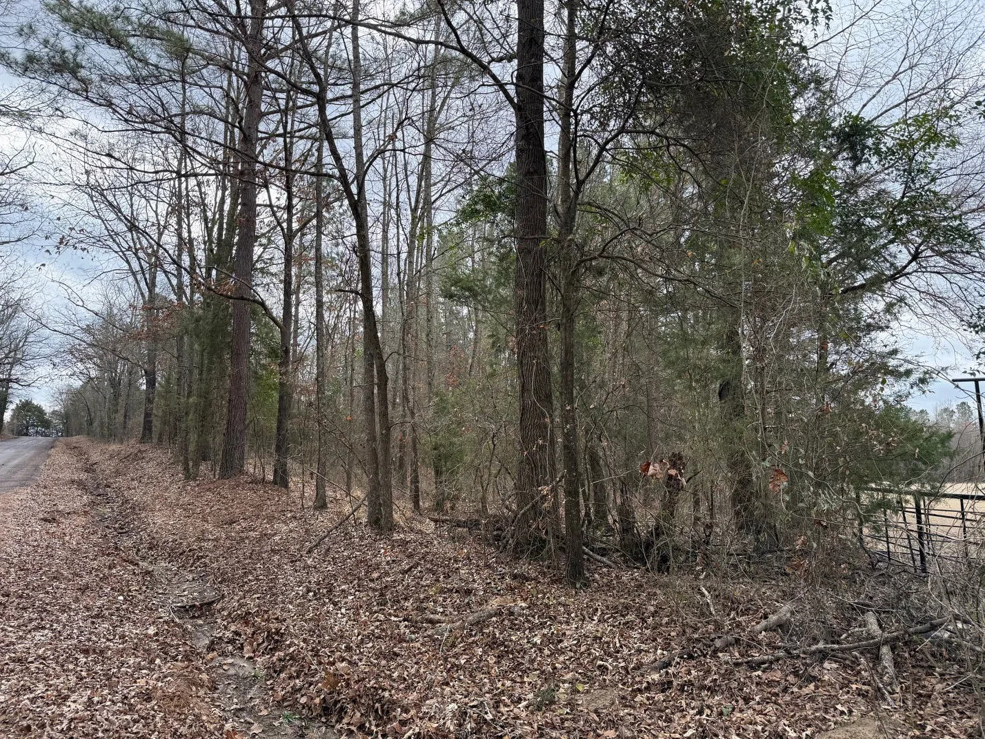 Unimproved Land For Sale in Wood County , TBD County Road 3986, Winnsboro, Texas 75494, 0, 0, Garage spaces, 0 Sqft, built in 0, mls#21357062, Real Estate Agent in Winnsboro, Homes For Sale in Wood county, Homes For Sale in Winnsboro, Realtor in Winnsboro Texas, Real Estate Brokerage Independent Realty Texas, Luminita Cordes Realtor