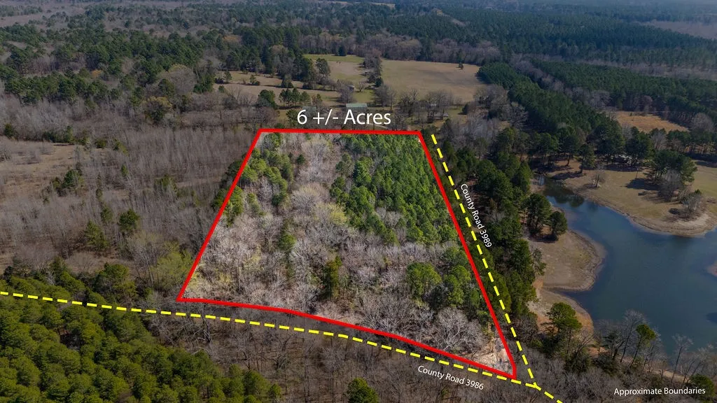 Unimproved Land For Sale in Wood County , TBD County Road 3986, Winnsboro, Texas 75494, 0, 0, Garage spaces, 0 Sqft, built in 0, mls#21357062, Real Estate Agent in Winnsboro, Homes For Sale in Wood county, Homes For Sale in Winnsboro, Realtor in Winnsboro Texas, Real Estate Brokerage Independent Realty Texas, Luminita Cordes Realtor