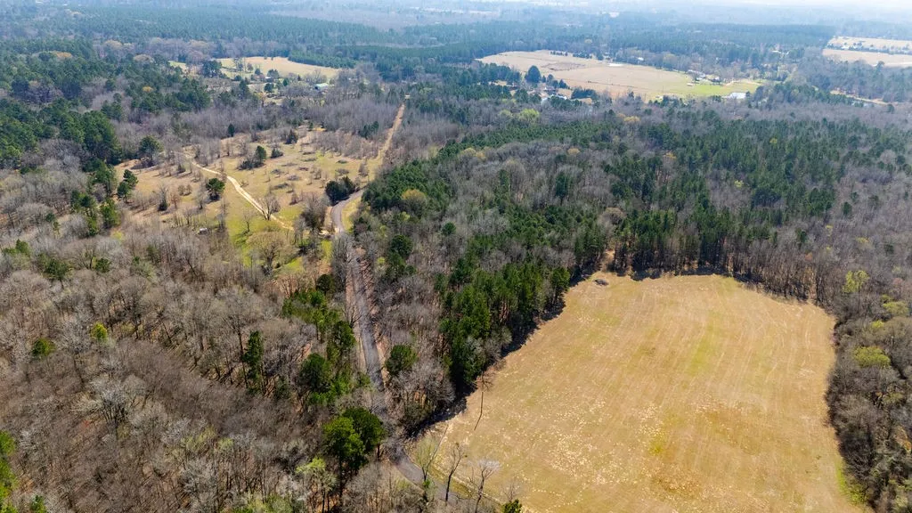 Unimproved Land For Sale in Wood County , TBD County Road 3986, Winnsboro, Texas 75494, 0, 0, Garage spaces, 0 Sqft, built in 0, mls#21357062, Real Estate Agent in Winnsboro, Homes For Sale in Wood county, Homes For Sale in Winnsboro, Realtor in Winnsboro Texas, Real Estate Brokerage Independent Realty Texas, Luminita Cordes Realtor