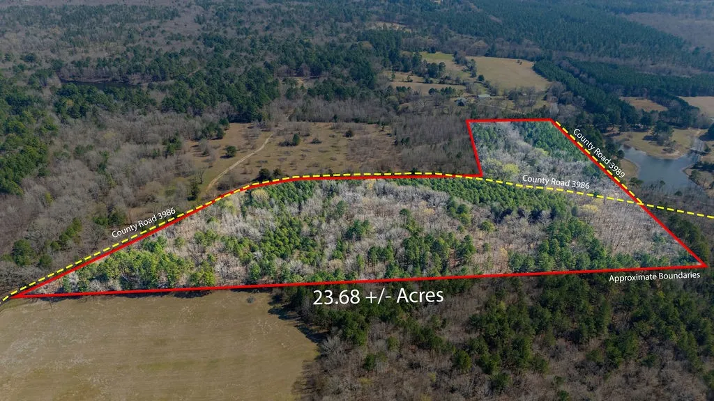 Unimproved Land For Sale in Wood County , TBD County Road 3986, Winnsboro, Texas 75494, 0, 0, Garage spaces, 0 Sqft, built in 0, mls#21357062, Real Estate Agent in Winnsboro, Homes For Sale in Wood county, Homes For Sale in Winnsboro, Realtor in Winnsboro Texas, Real Estate Brokerage Independent Realty Texas, Luminita Cordes Realtor