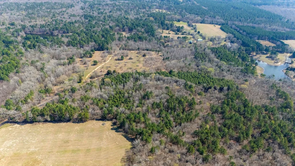 Unimproved Land For Sale in Wood County , TBD County Road 3986, Winnsboro, Texas 75494, 0, 0, Garage spaces, 0 Sqft, built in 0, mls#21357062, Real Estate Agent in Winnsboro, Homes For Sale in Wood county, Homes For Sale in Winnsboro, Realtor in Winnsboro Texas, Real Estate Brokerage Independent Realty Texas, Luminita Cordes Realtor