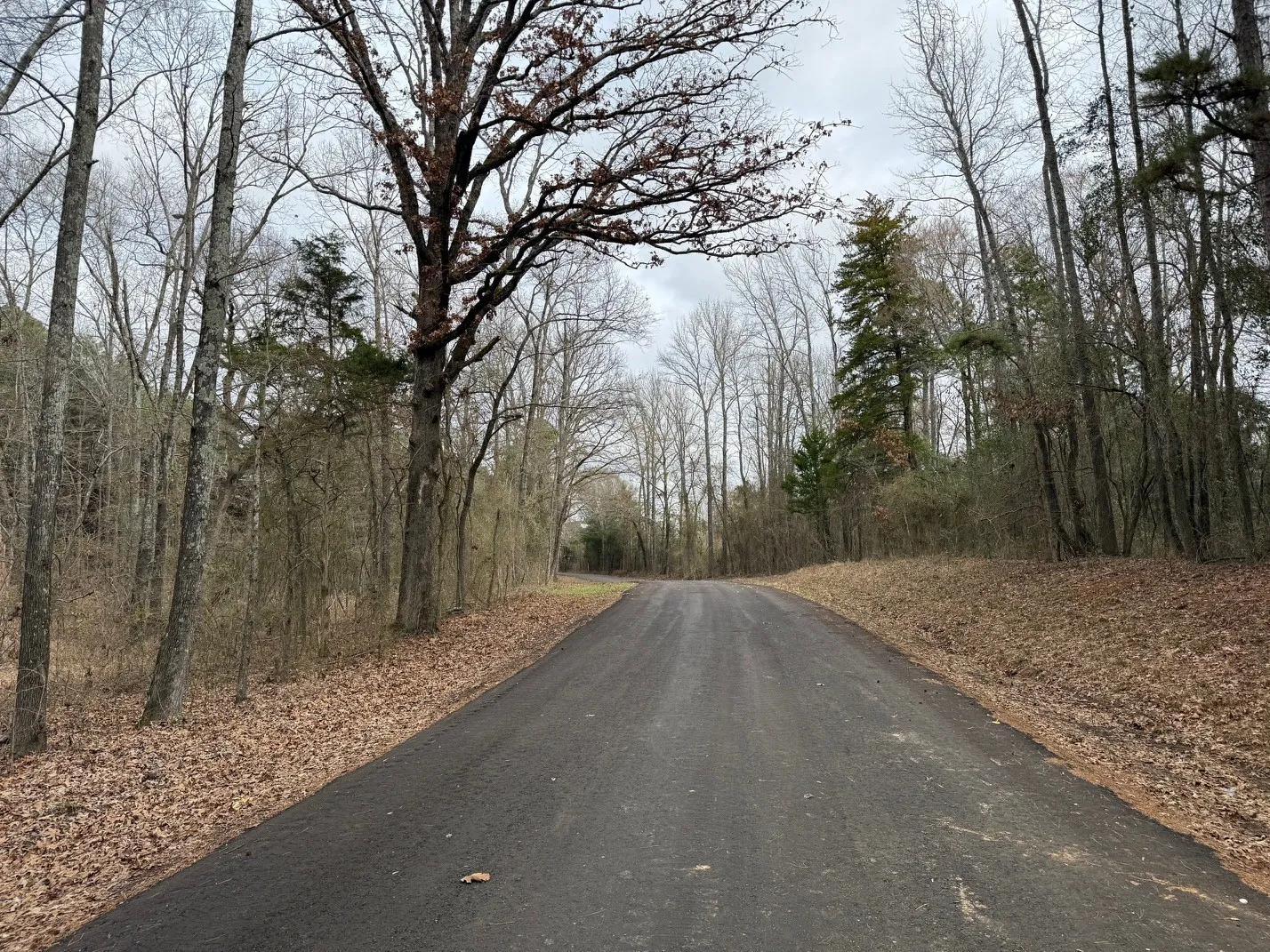 Unimproved Land For Sale in Wood County , TBD County Road 3986, Winnsboro, Texas 75494, 0, 0, Garage spaces, 0 Sqft, built in 0, mls#21357062, Real Estate Agent in Winnsboro, Homes For Sale in Wood county, Homes For Sale in Winnsboro, Realtor in Winnsboro Texas, Real Estate Brokerage Independent Realty Texas, Luminita Cordes Realtor