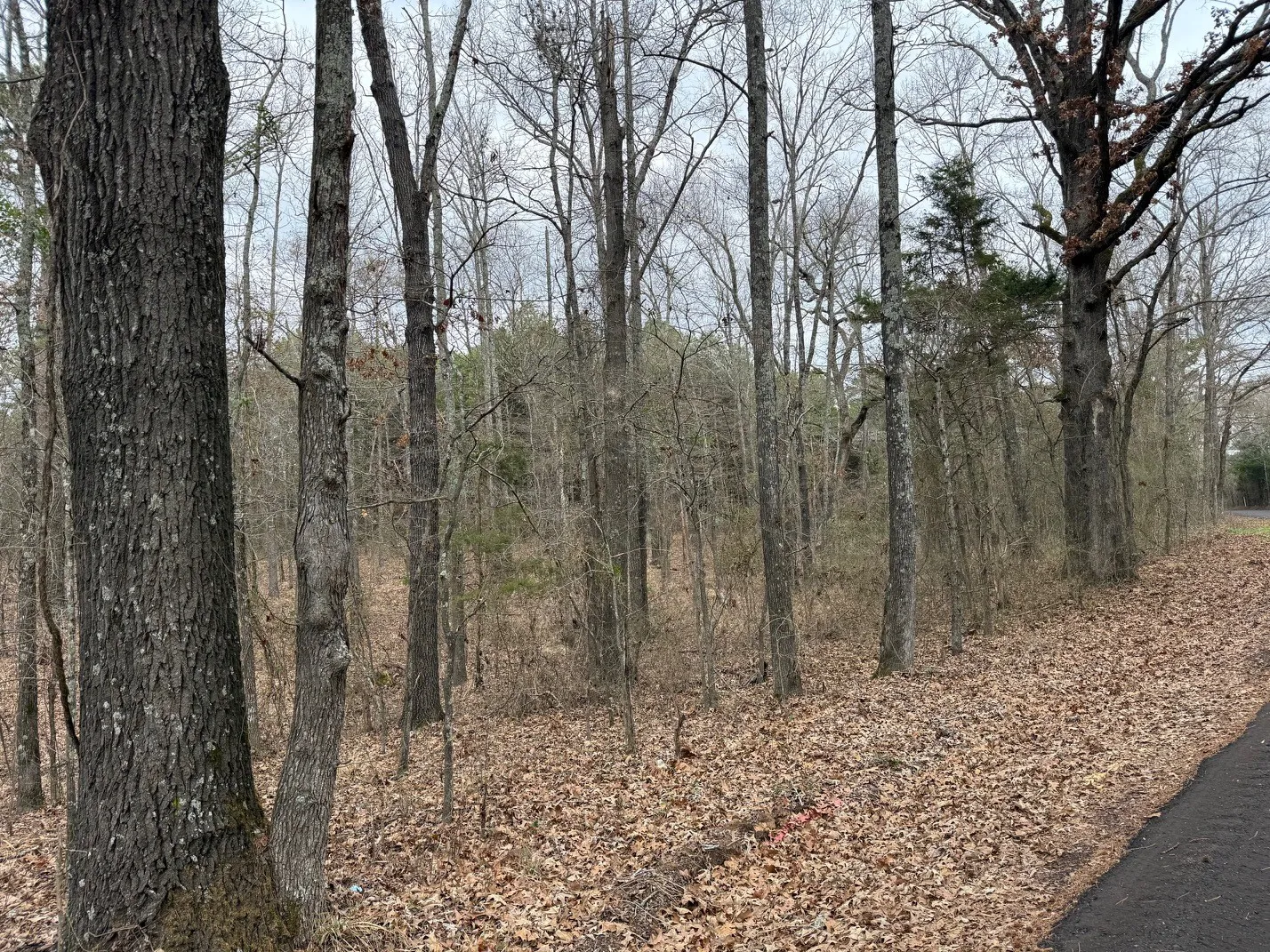 Unimproved Land For Sale in Wood County , TBD County Road 3986, Winnsboro, Texas 75494, 0, 0, Garage spaces, 0 Sqft, built in 0, mls#21357062, Real Estate Agent in Winnsboro, Homes For Sale in Wood county, Homes For Sale in Winnsboro, Realtor in Winnsboro Texas, Real Estate Brokerage Independent Realty Texas, Luminita Cordes Realtor